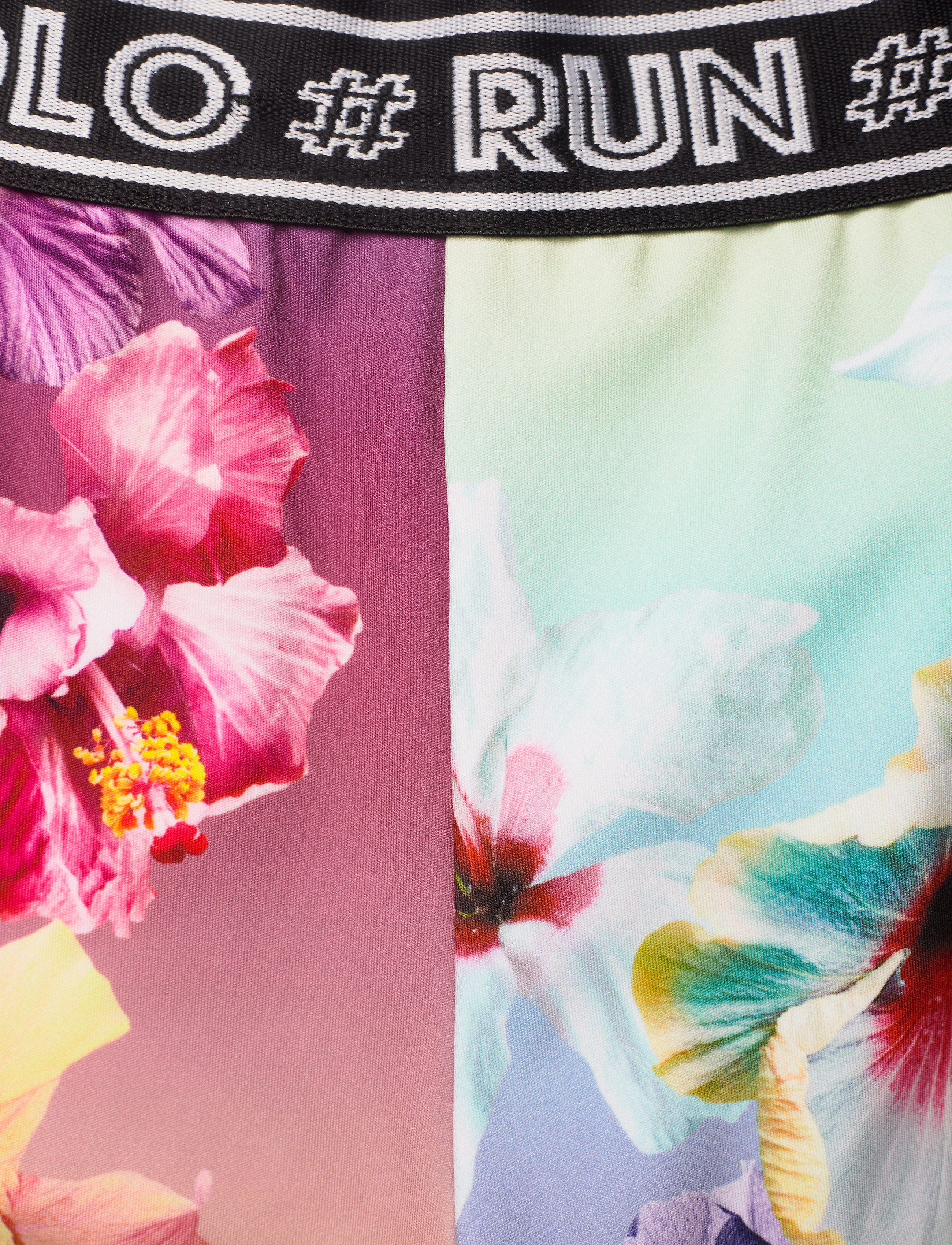 Molo - Obelia - hibiscus rainbow - 2