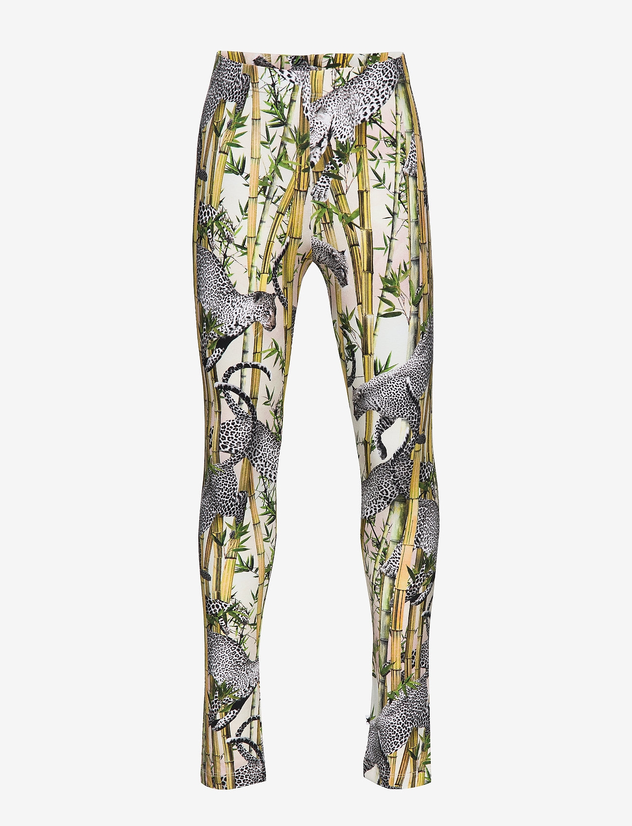 Niki - FLYING LEOPARD