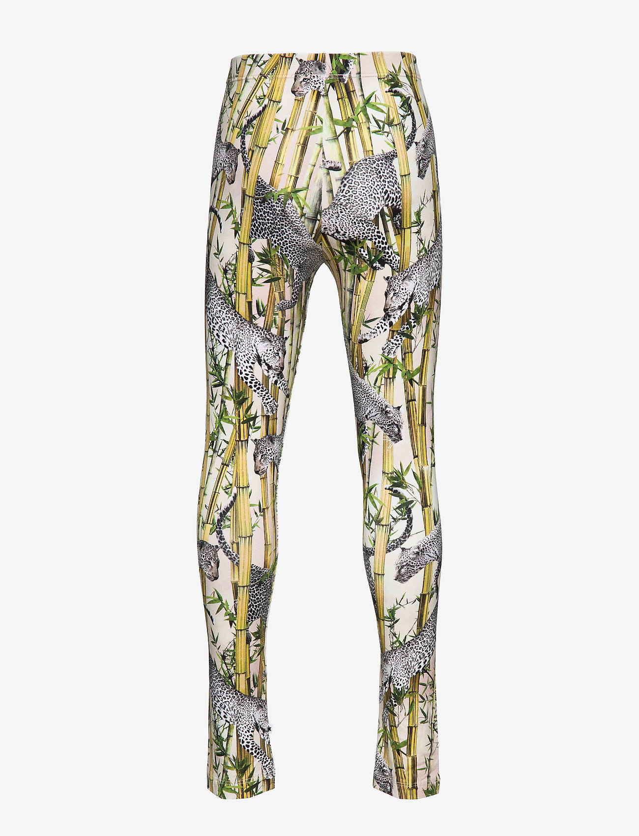 Molo - Niki - flying leopard - 1