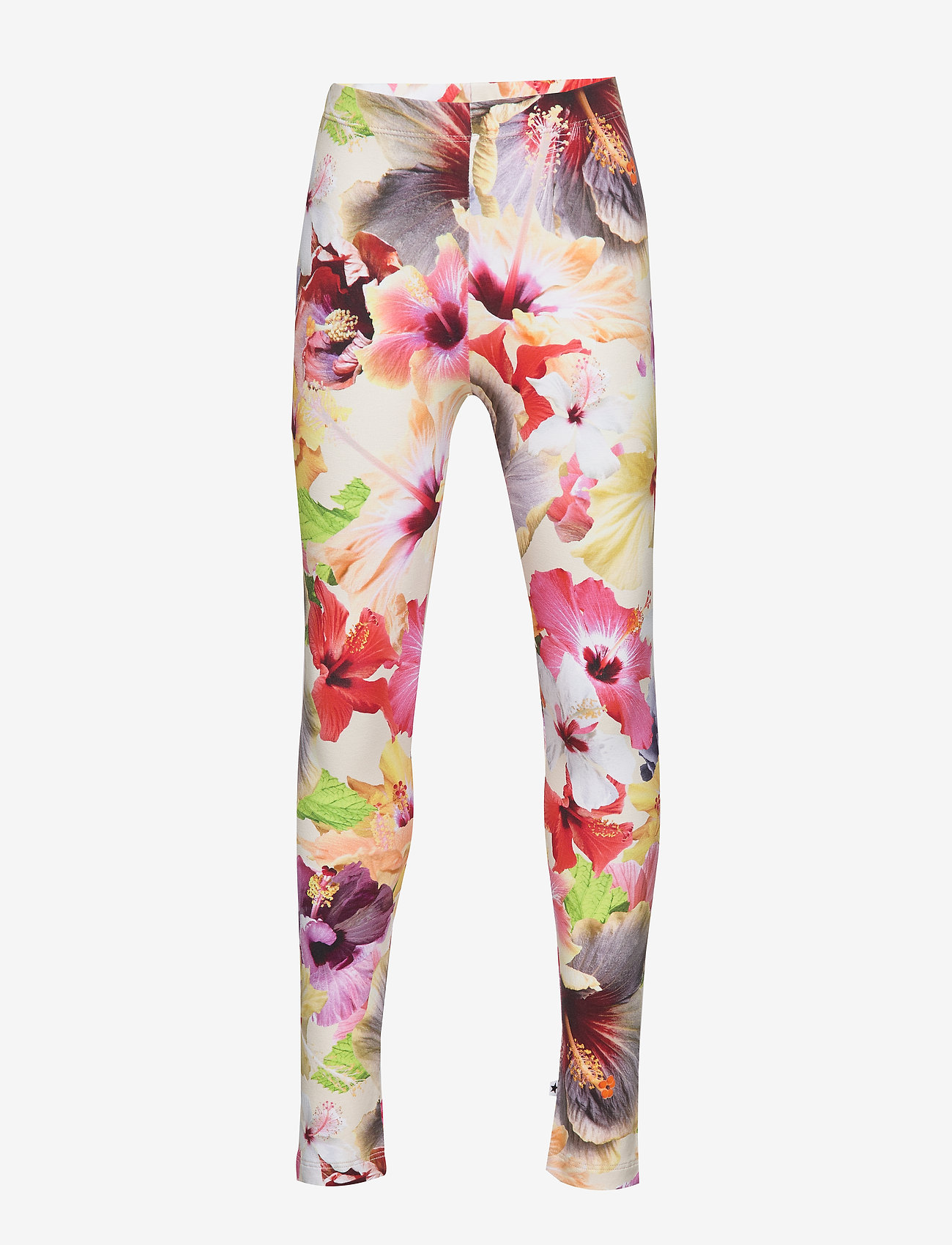 Niki - PACIFIC FLORAL