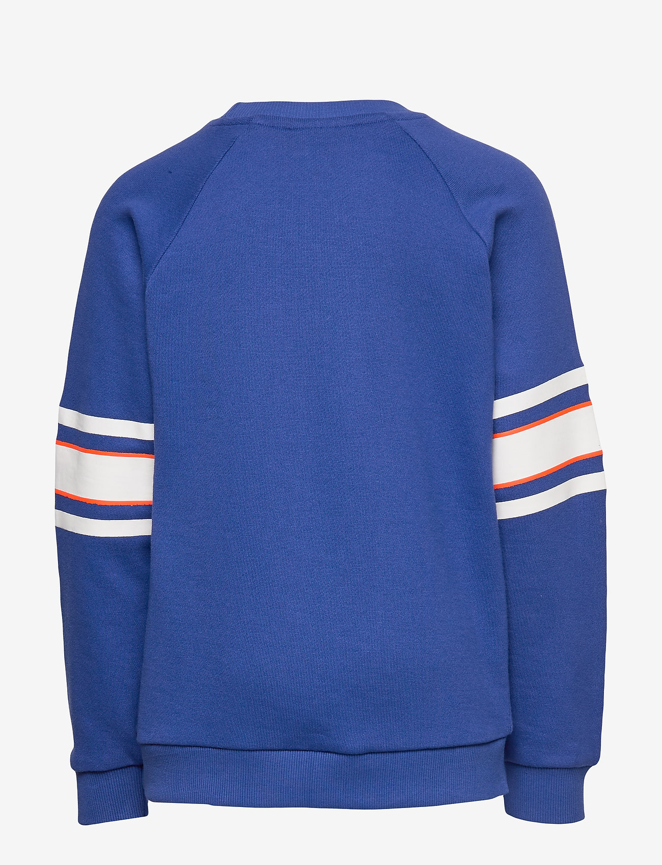 Molo - Marie - clematis - 1