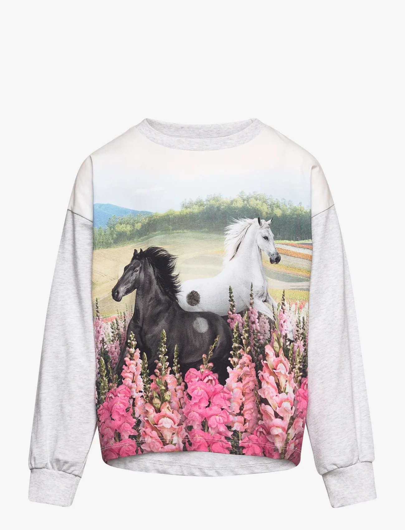 Molo - Reniza - sweatshirts - meadow horses - 0