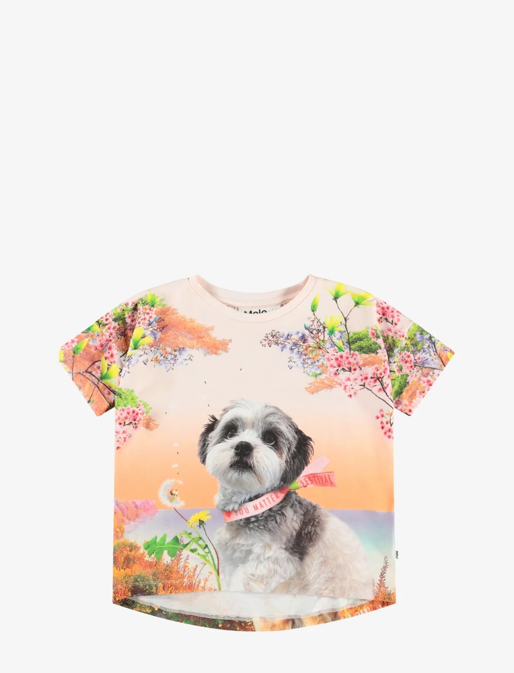 Molo - Raeesa - kortärmade - festivalgoers - 1