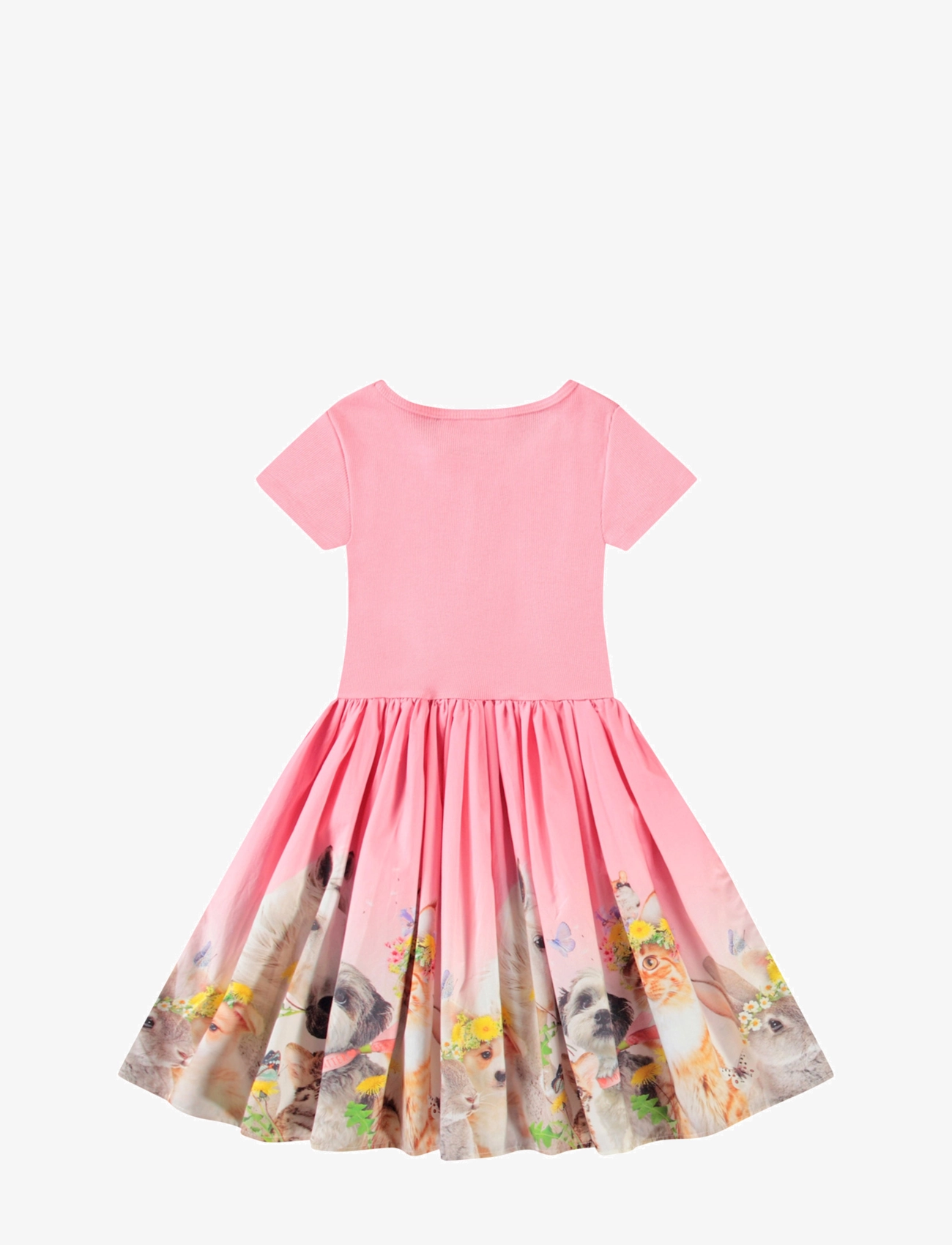 Molo - Cissa - partykleider - midsummer - 1