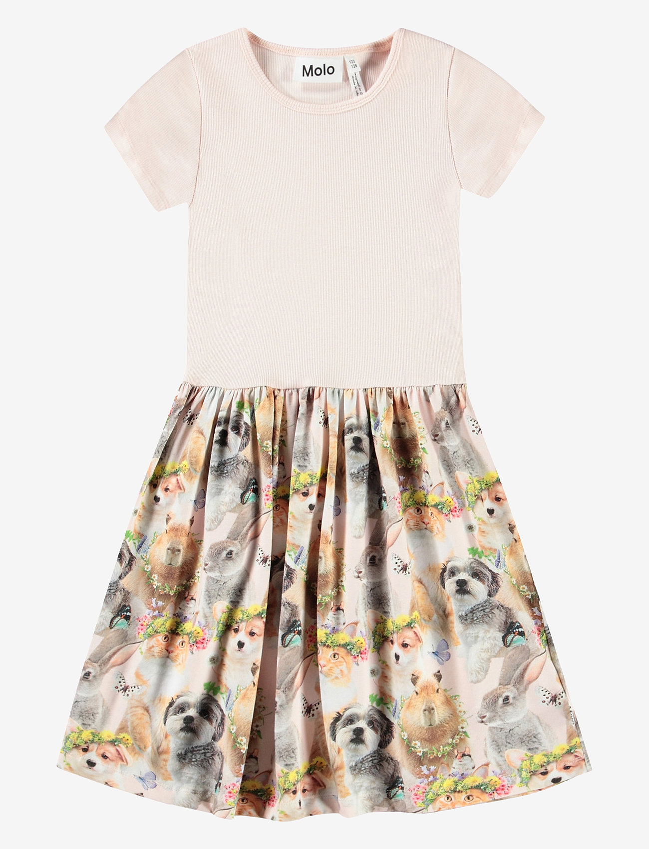 Molo - Cissa - festival friends - 0