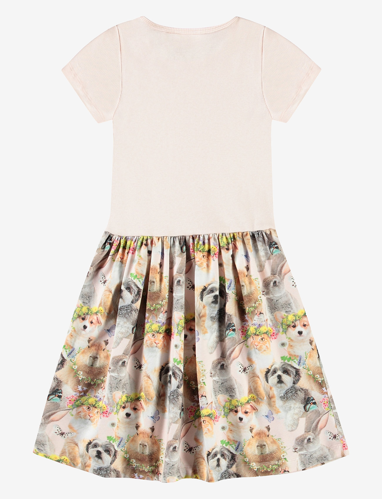 Molo - Cissa - festival friends - 1