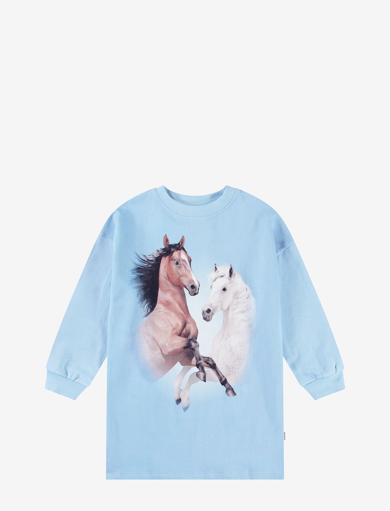 Molo - Cyrella - langärmelige freizeitkleider - bleu horses - 0