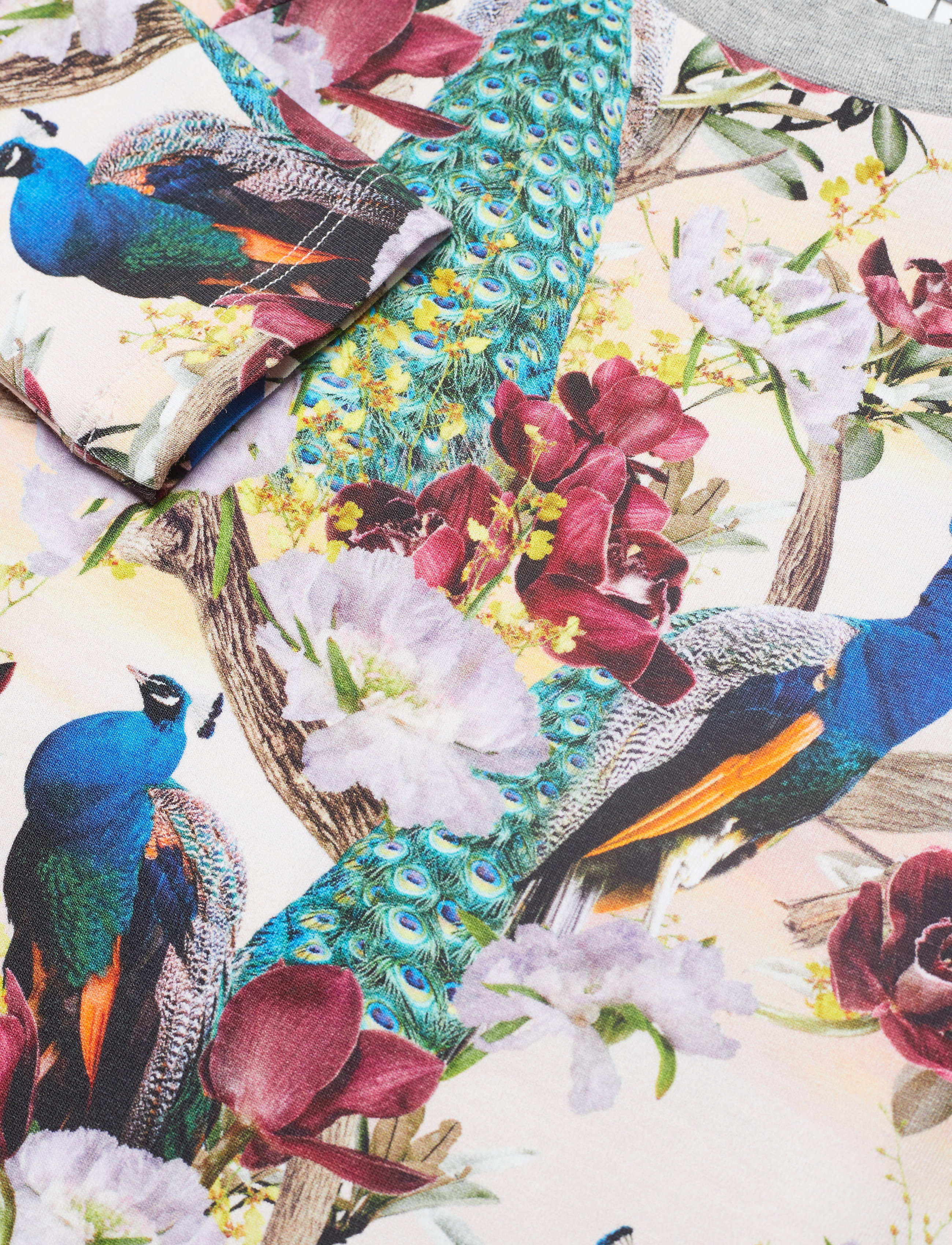 Molo - Camira - oriental peacocks - 2