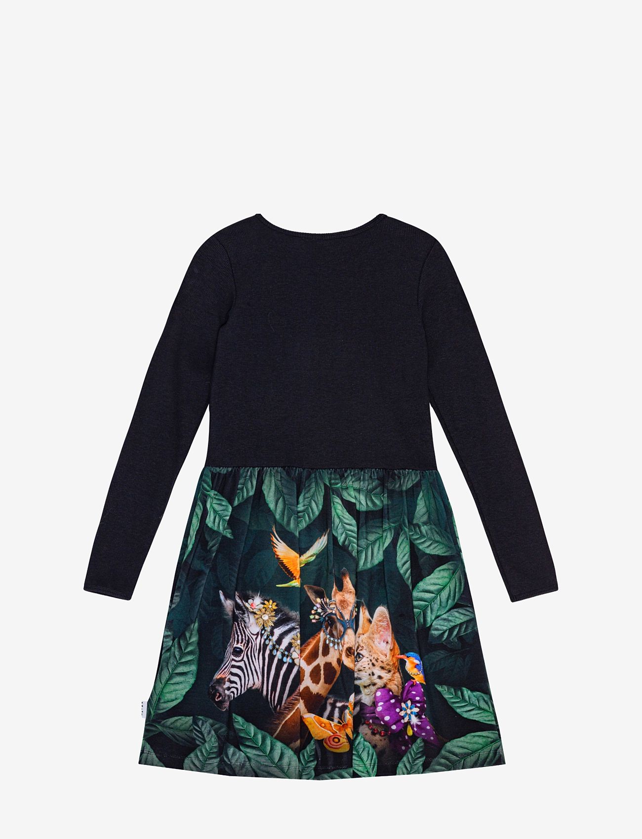 Molo - Credence - avant-garde - 1