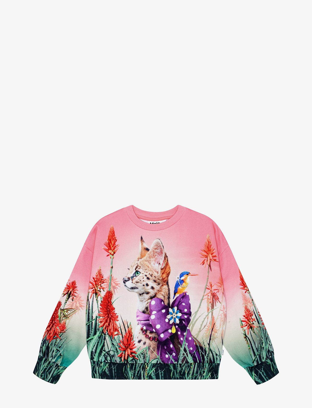 Molo - Maxi - fancy cat - 1