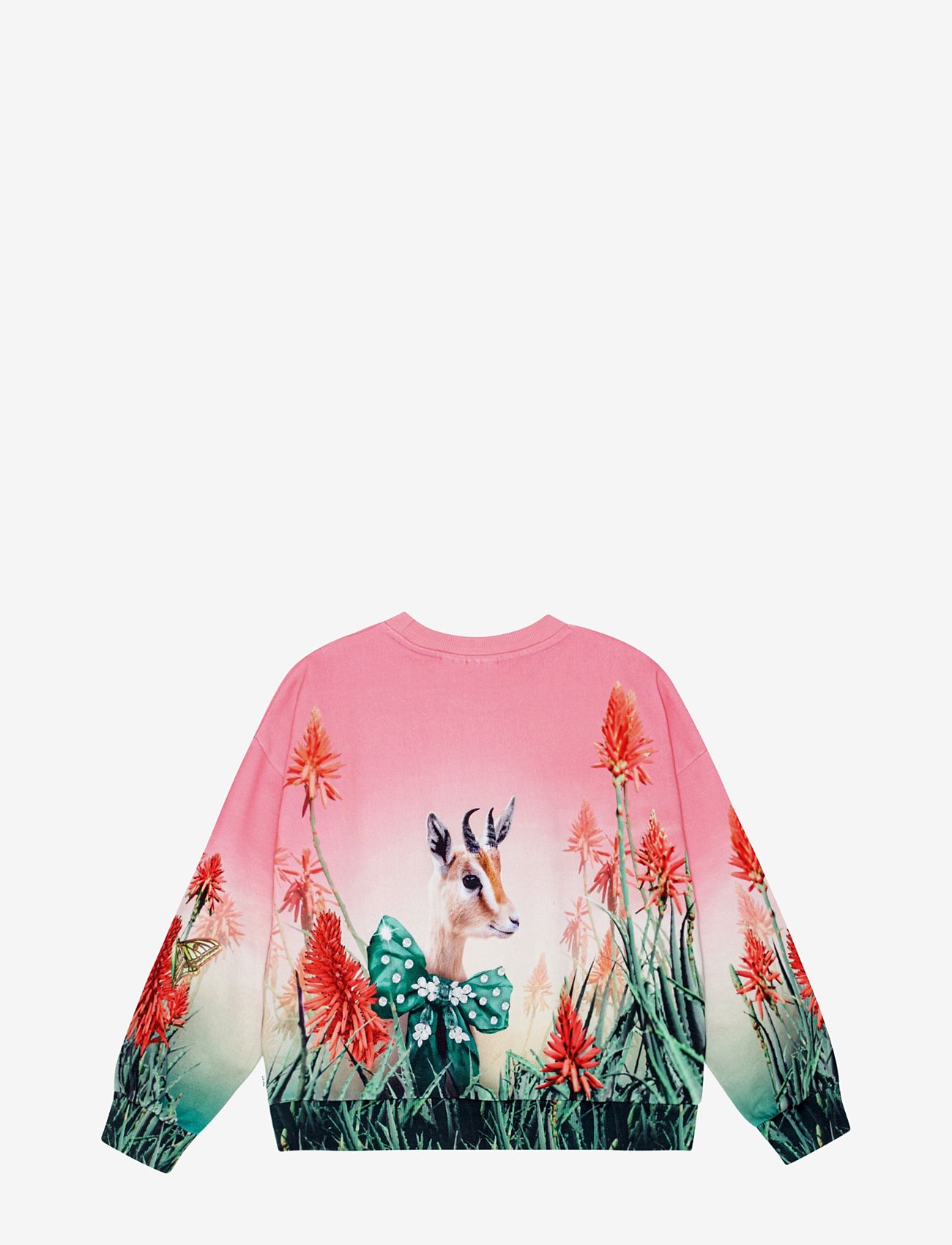 Molo - Maxi - fancy cat - 2