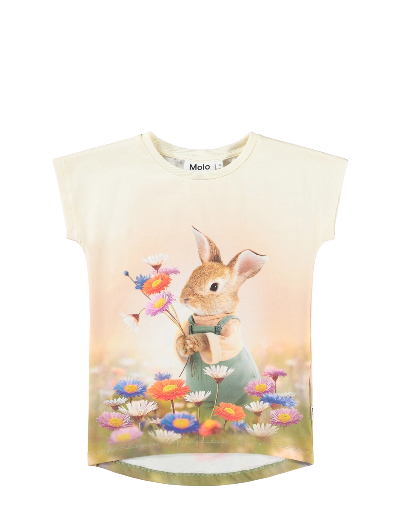 BUNNY RABBIT