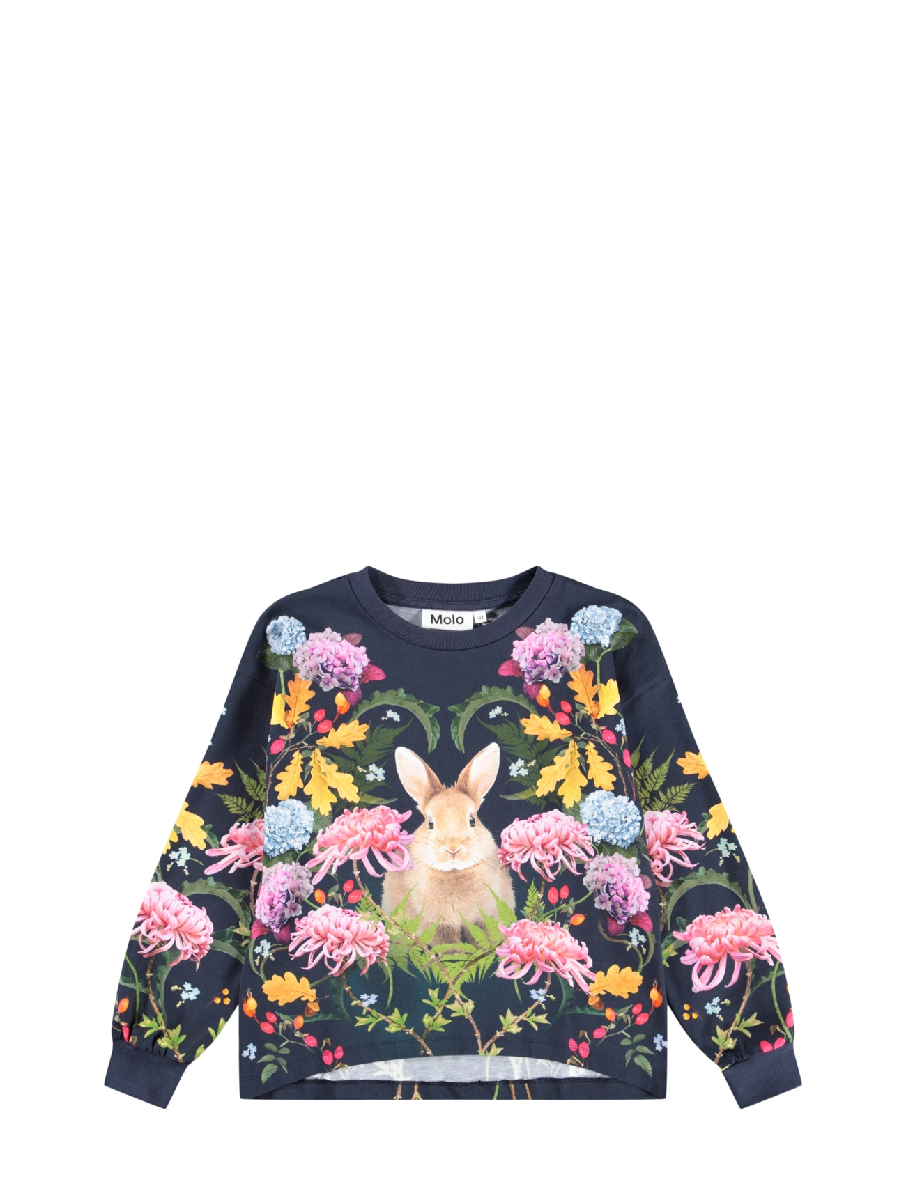 NOUVEAU RABBIT