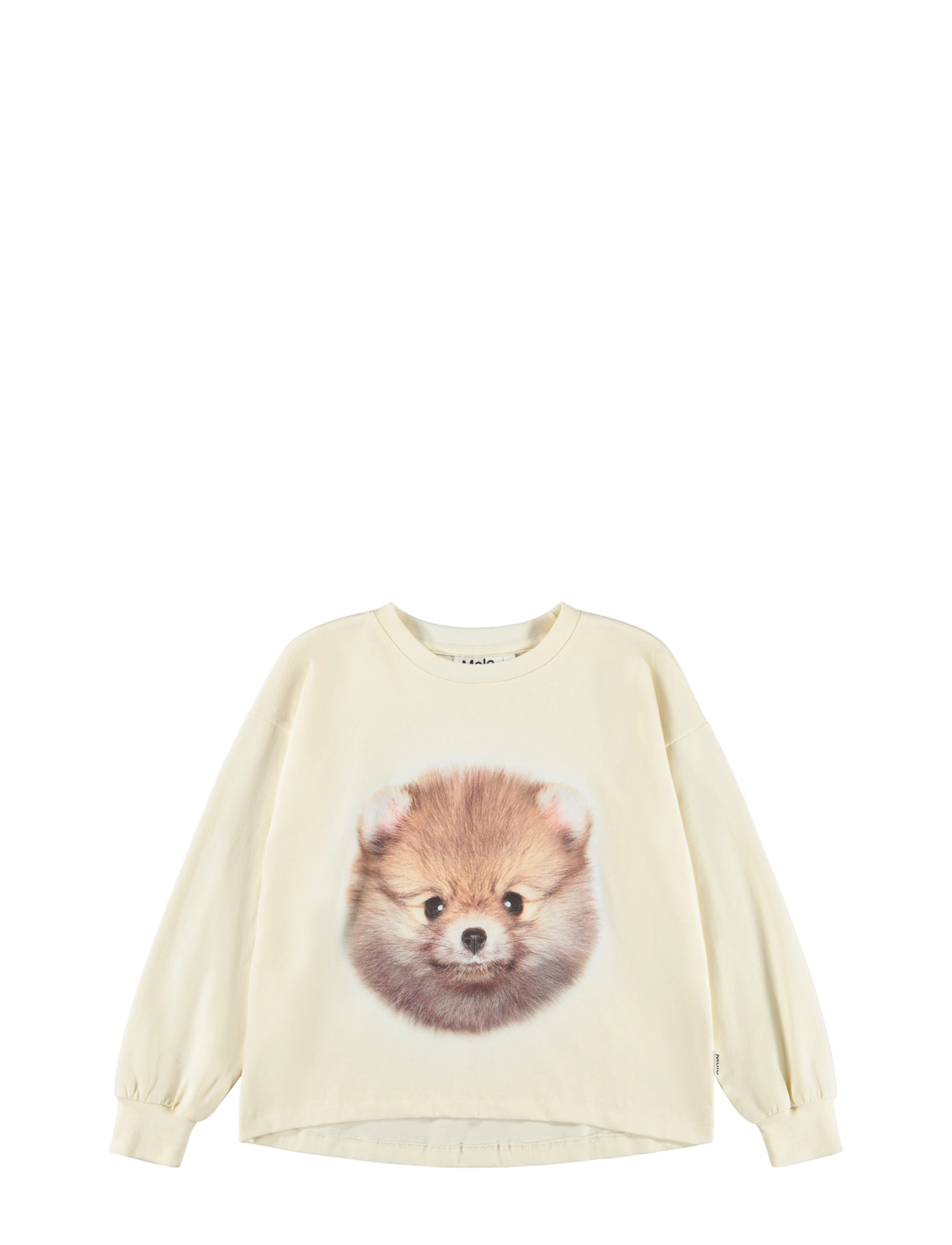 POM POMERANIAN