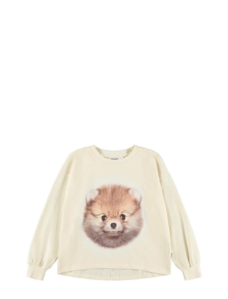 Molo - Reniza - pikkade varrukatega - pom pomeranian - 0