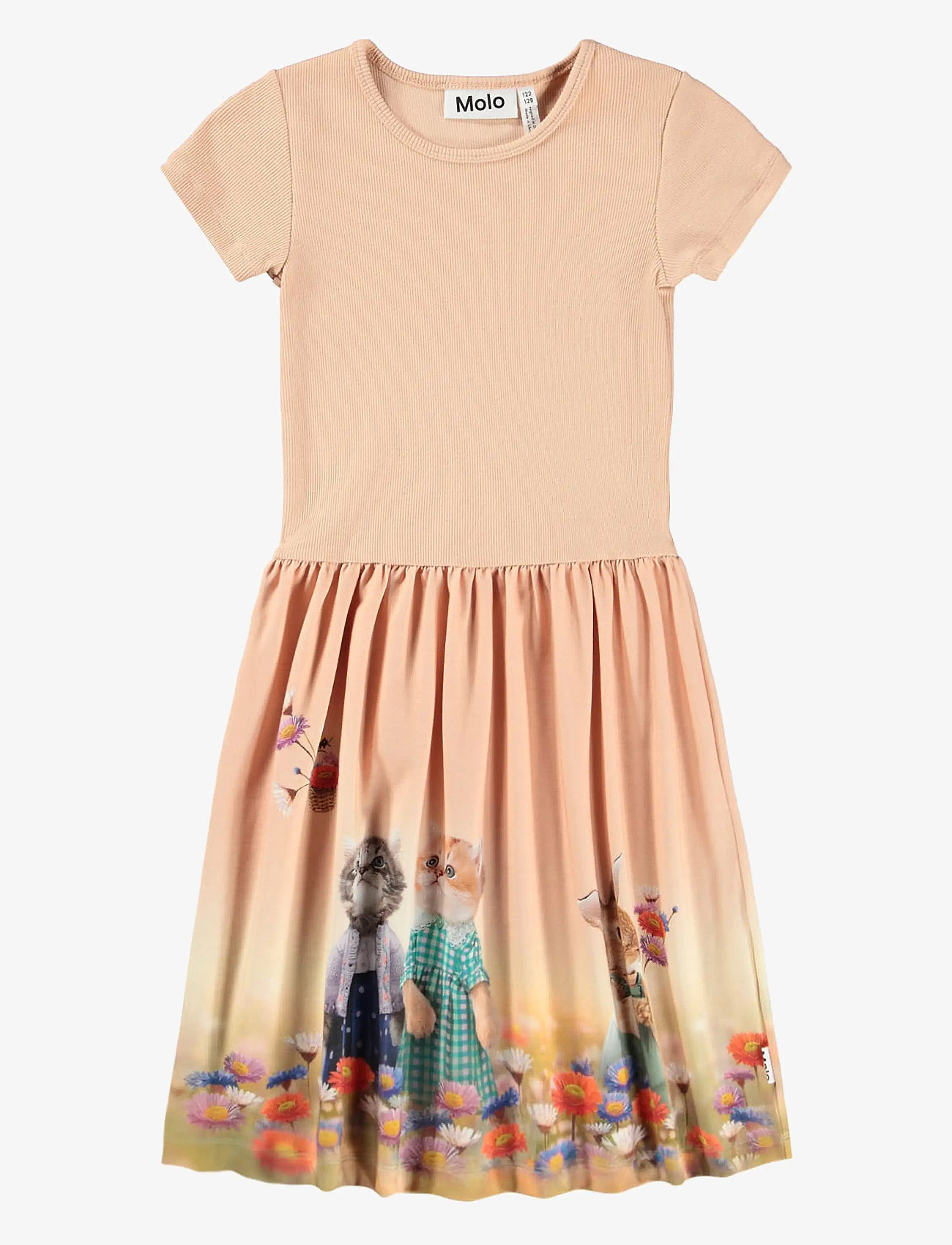 Molo - Cissa - kortärmade vardagsklänningar - four friends - 0