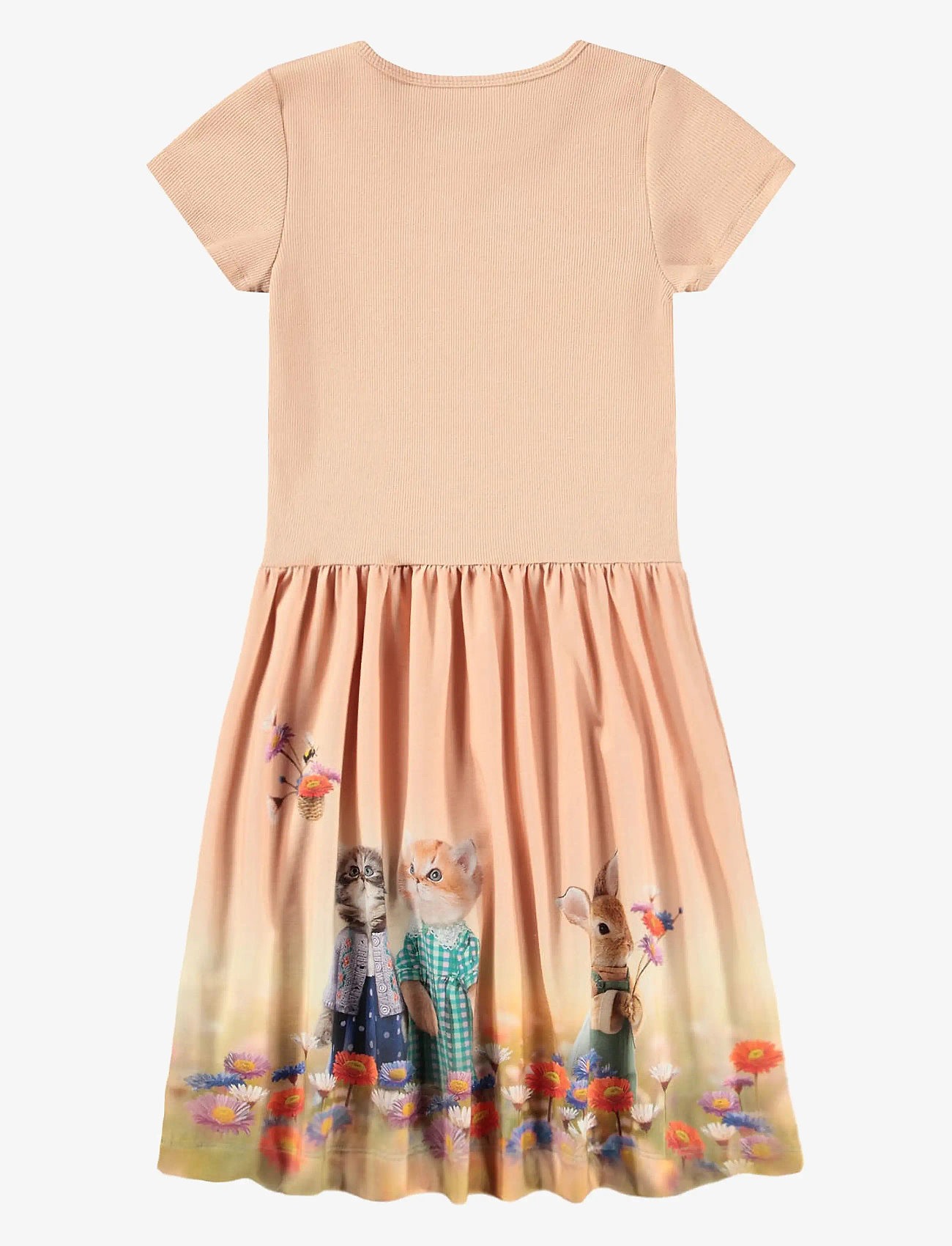 Molo - Cissa - kortärmade vardagsklänningar - four friends - 1