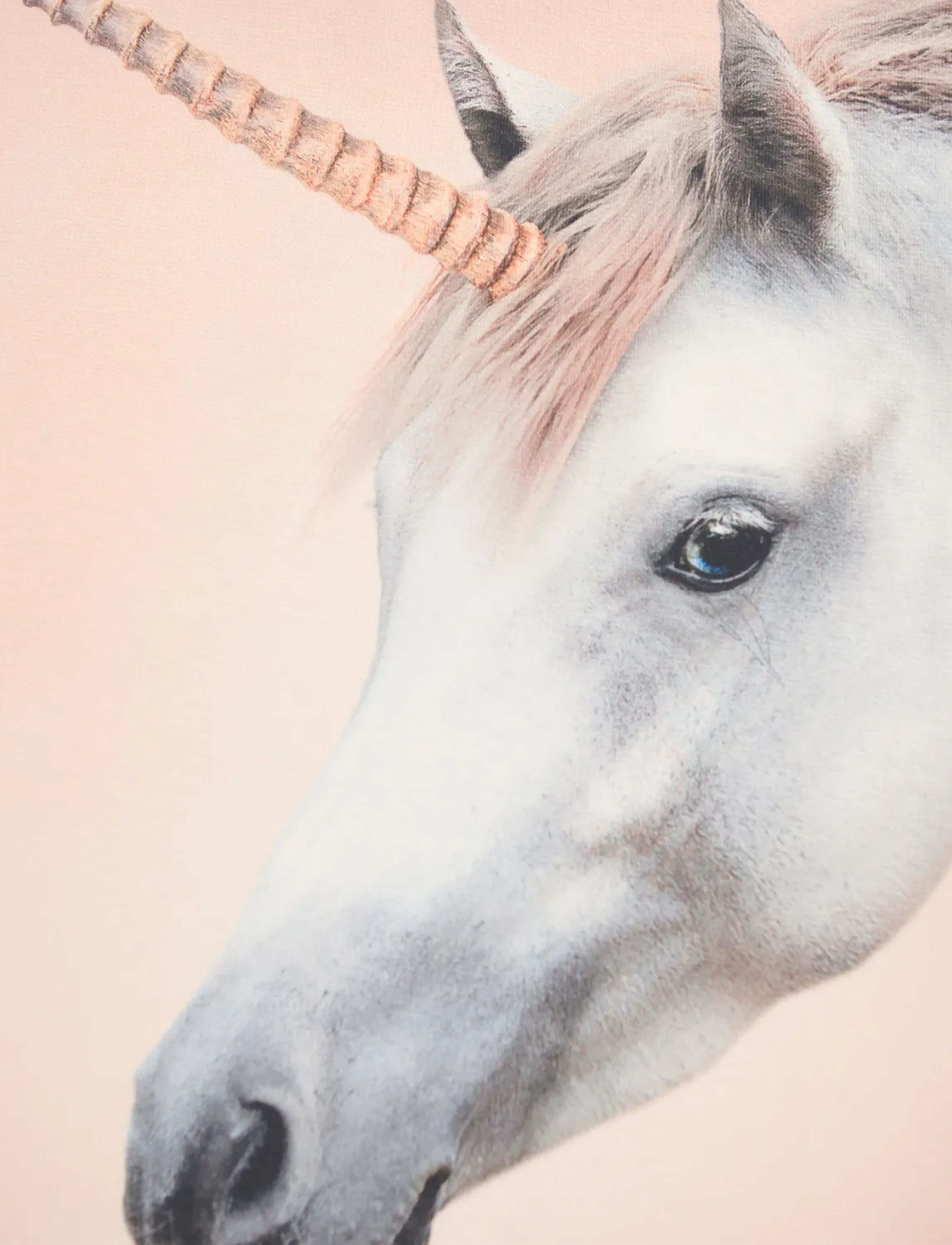 Molo - Mountoo - langærmede - born a unicorn - 2