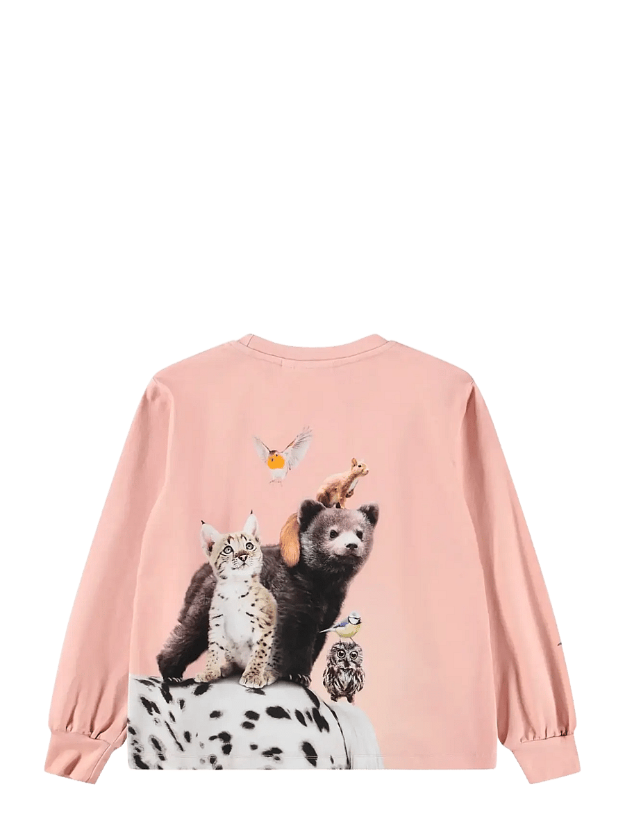 Molo - Raffy - långärmade t-shirts - entourage - 1