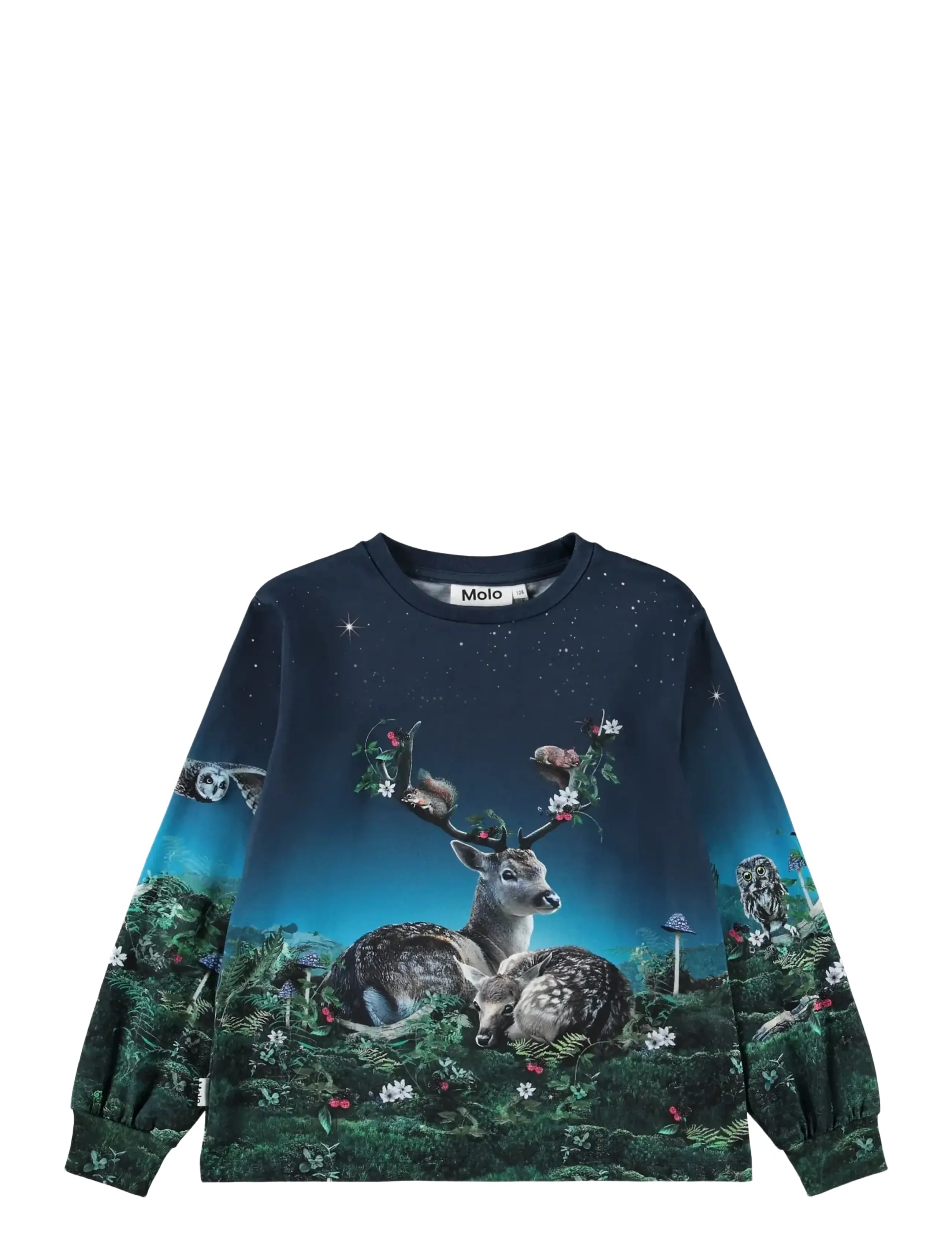 Molo Raffy - Shop by age - UNDER THE STARS / blue