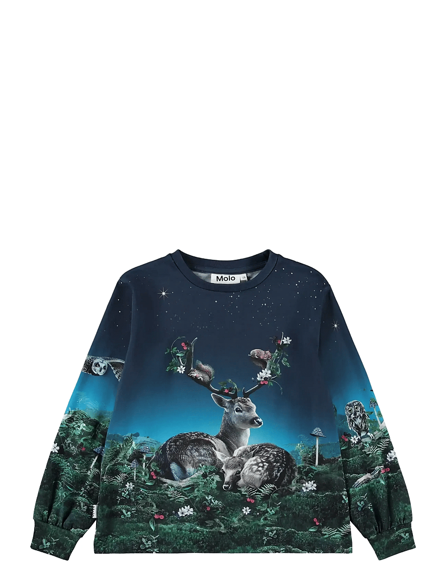 Molo - Raffy - långärmade t-shirts - under the stars - 0