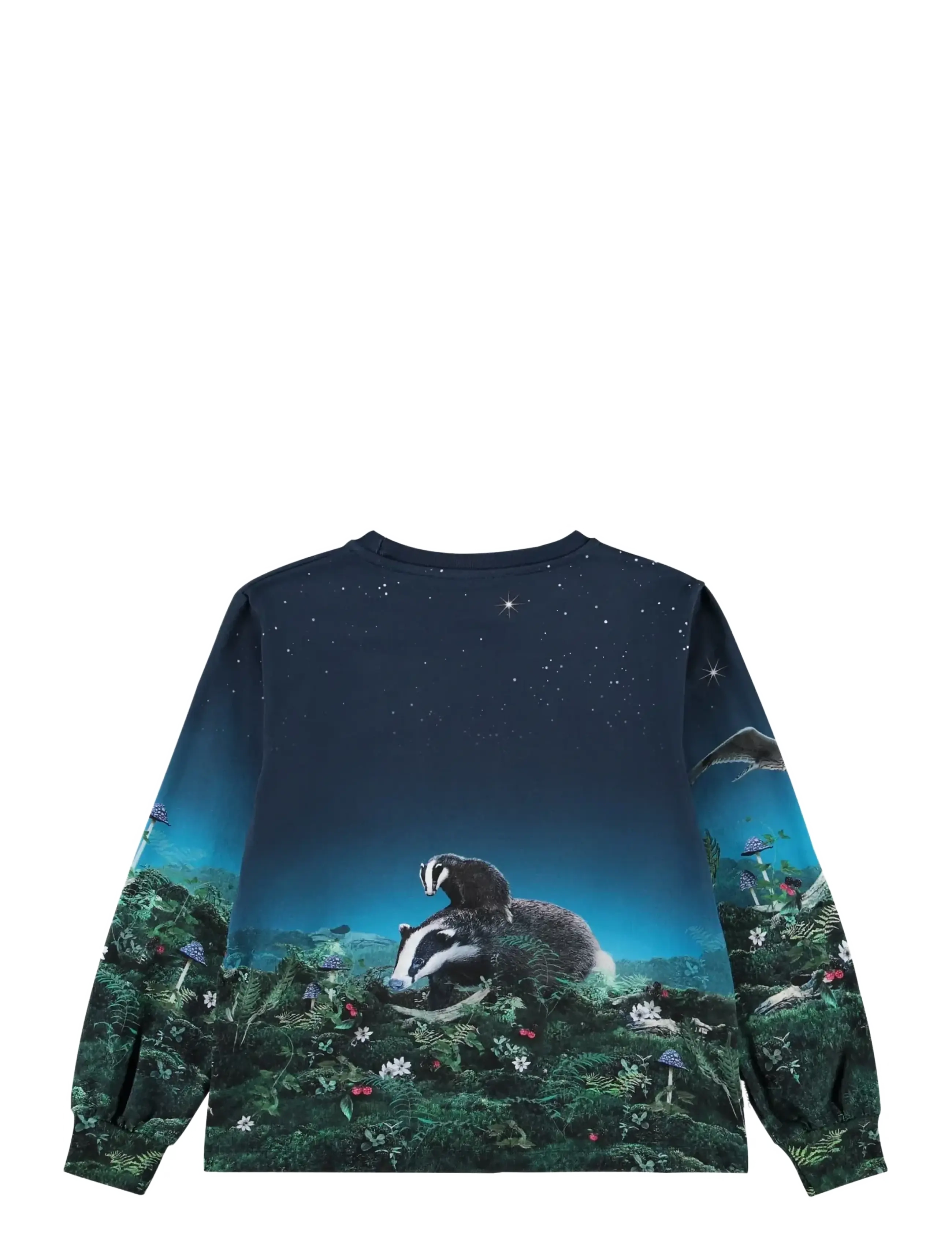Molo - Raffy - under the stars - 1