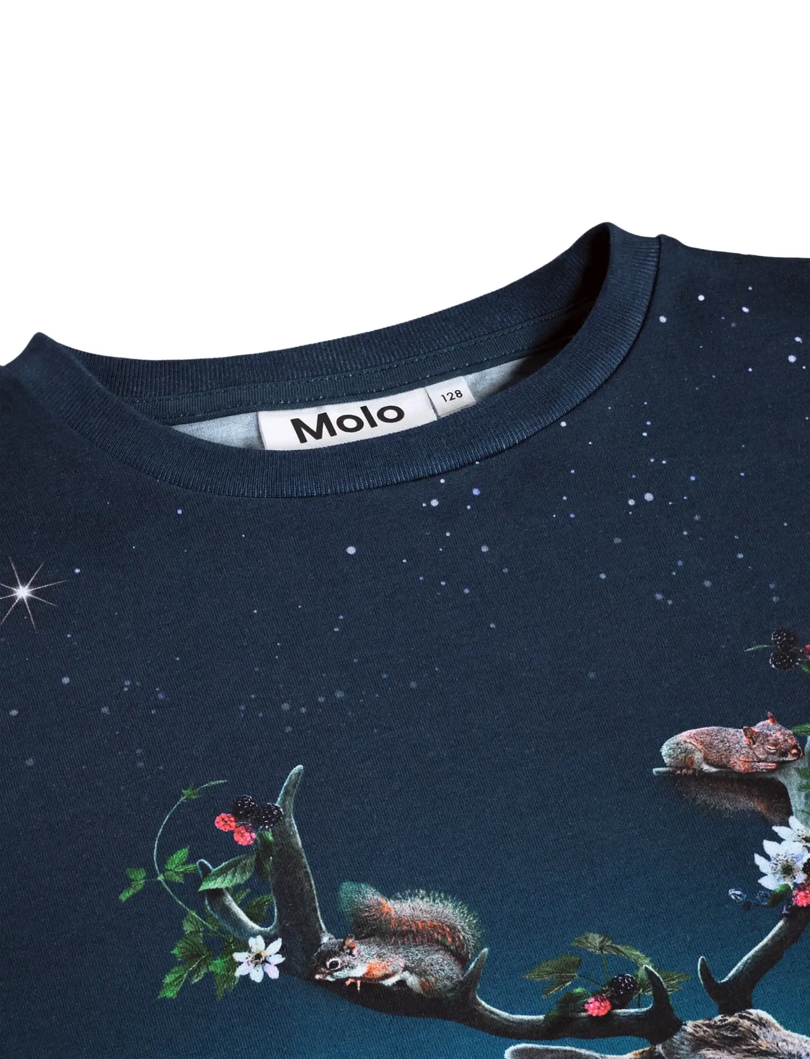 Molo - Raffy - under the stars - 2