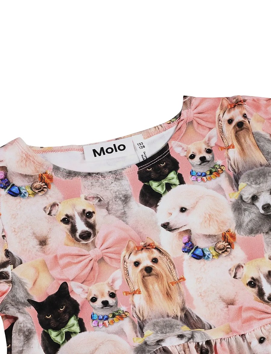 Molo - Camie - pikkade varrukatega vabaajakleidid - embellished - 2