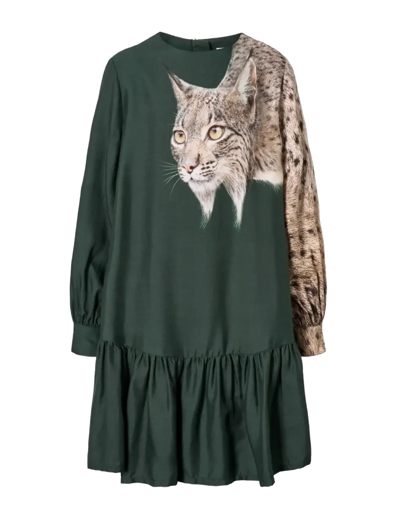 Molo Cici - Shop by age - IBERIAN LYNX / green