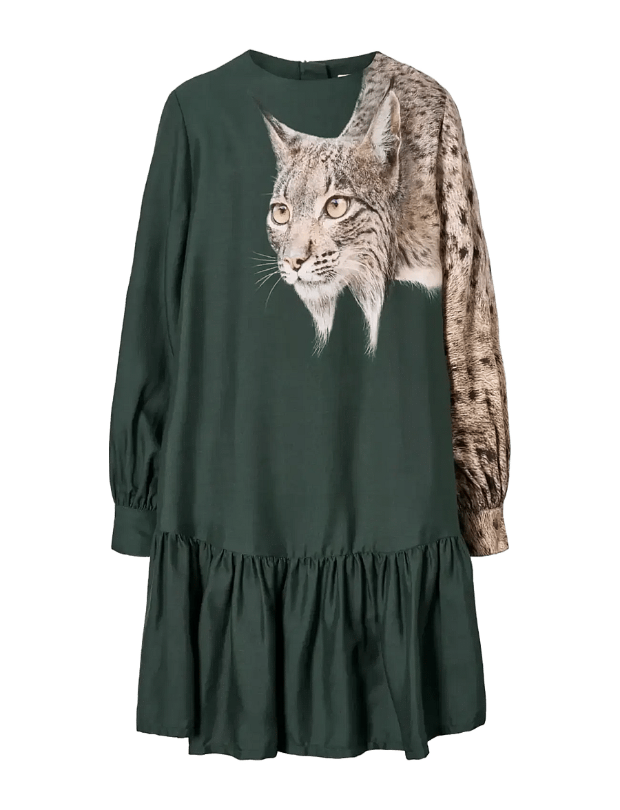 Molo - Cici - iberian lynx - 0