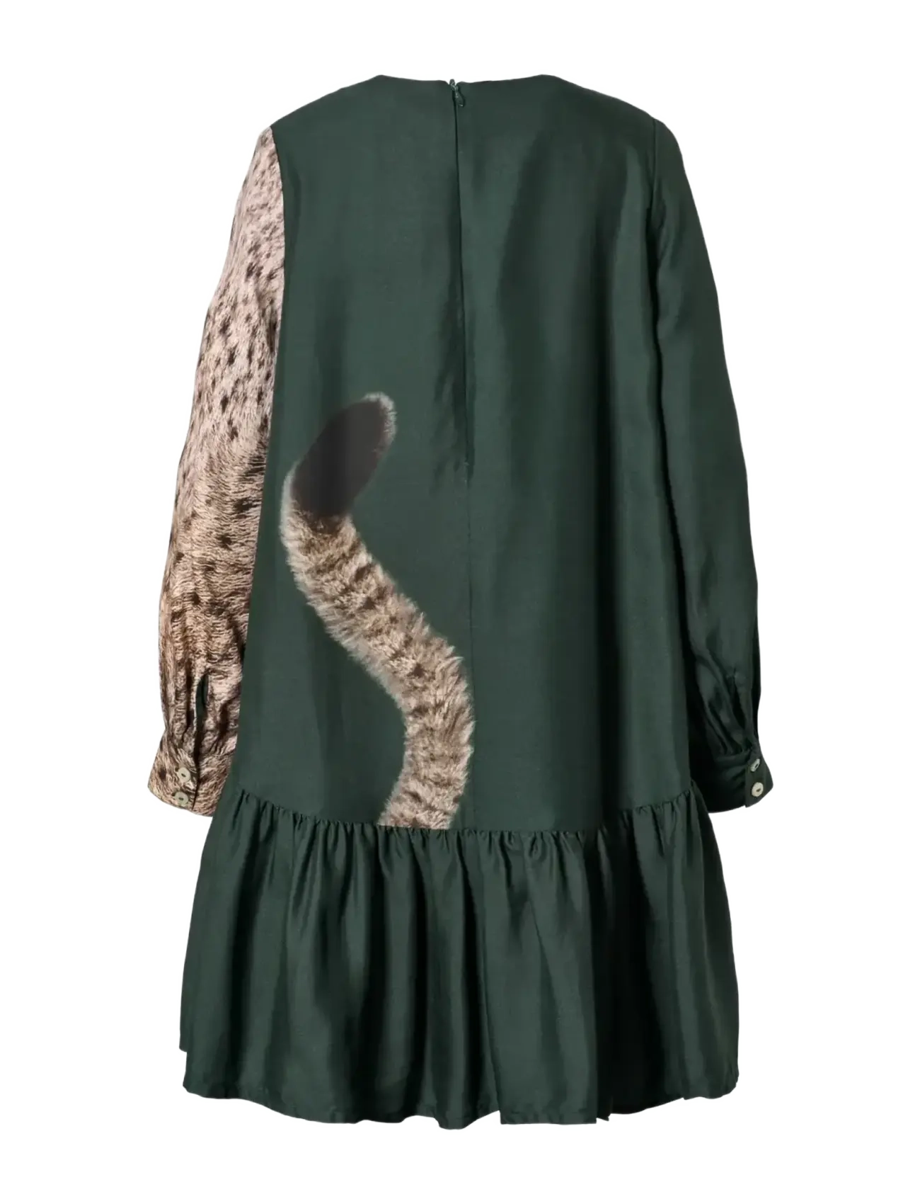 Molo - Cici - iberian lynx - 1