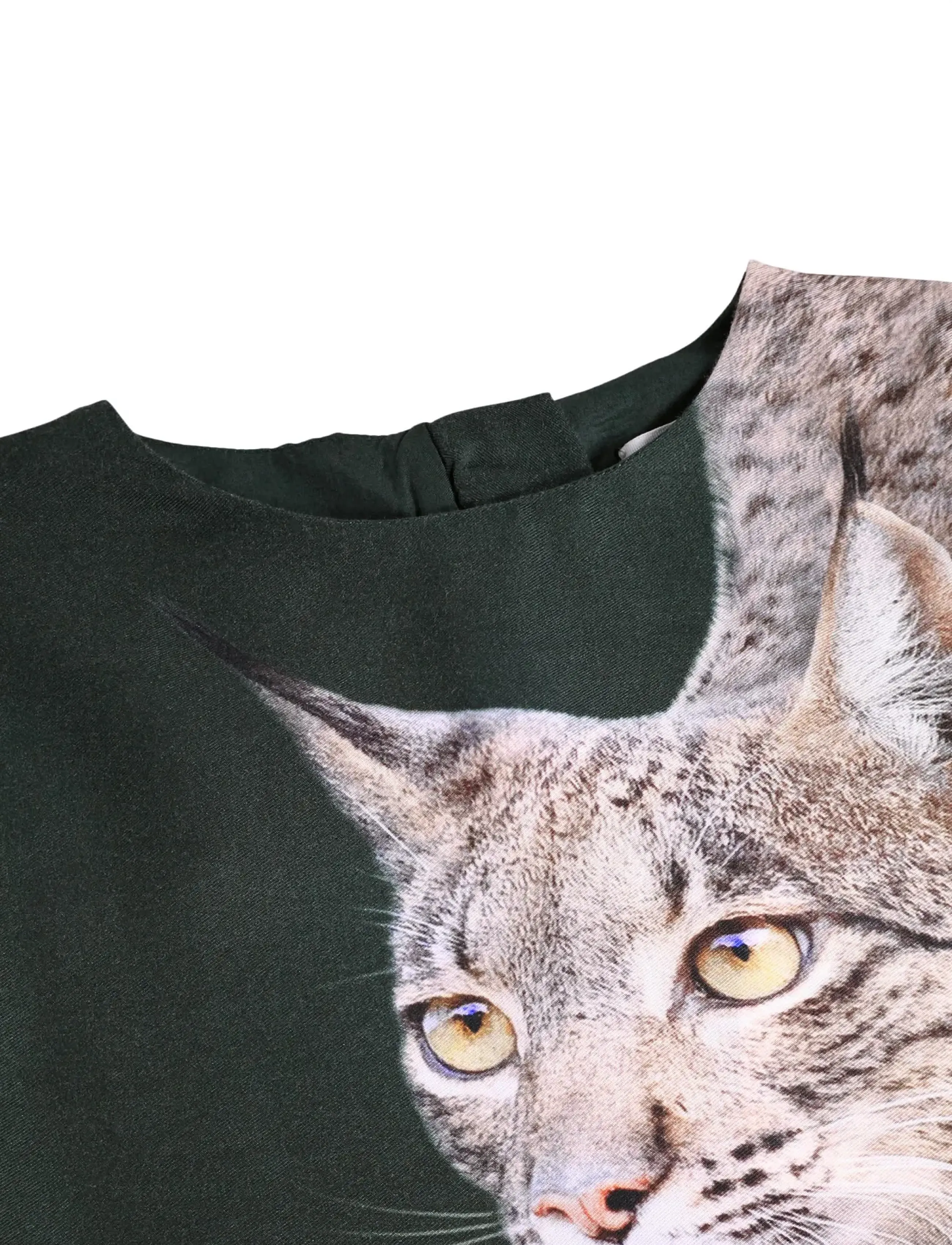 Molo - Cici - iberian lynx - 4