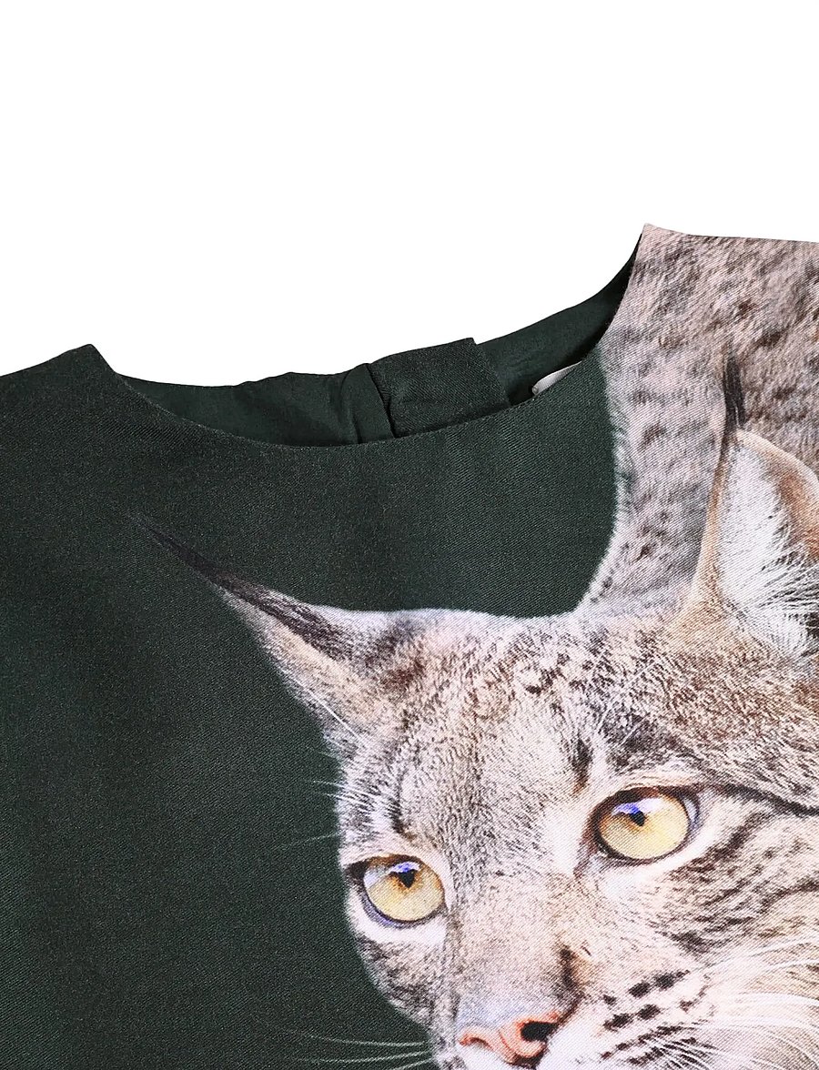 Molo - Cici - iberian lynx - 4