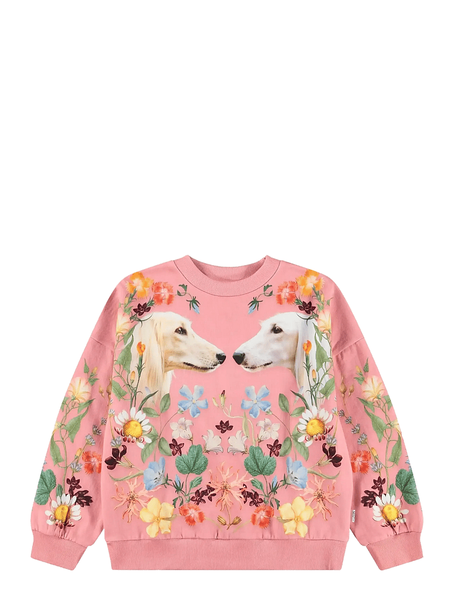 Molo - Maxi - sweatshirts - afghan hounds - 0