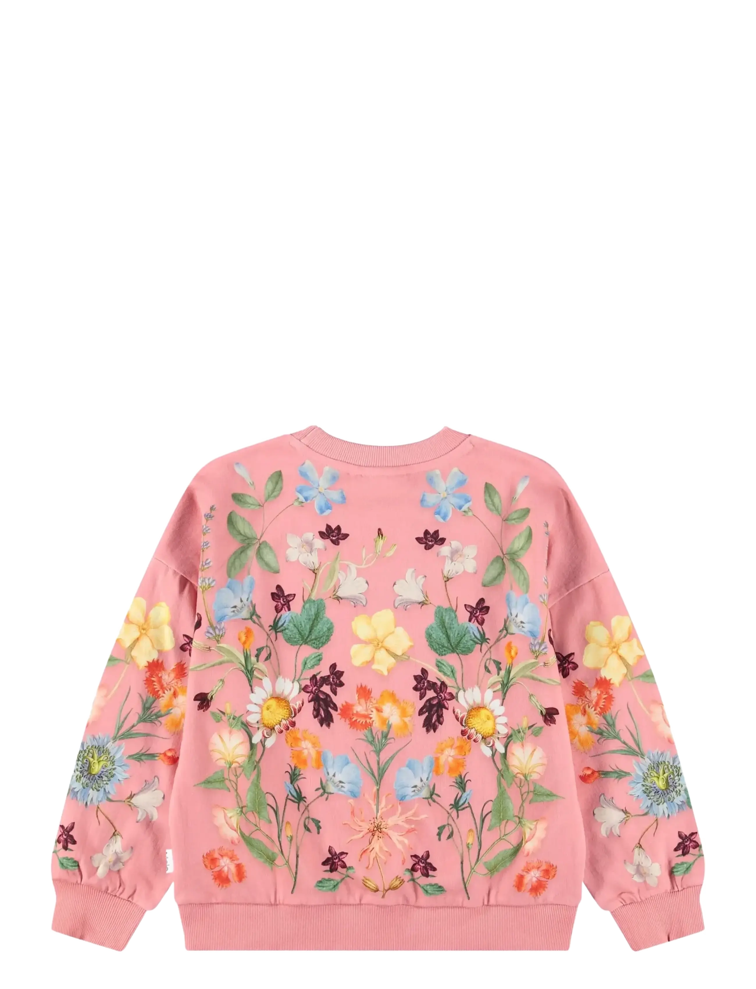 Molo - Maxi - sweatshirts - afghan hounds - 1