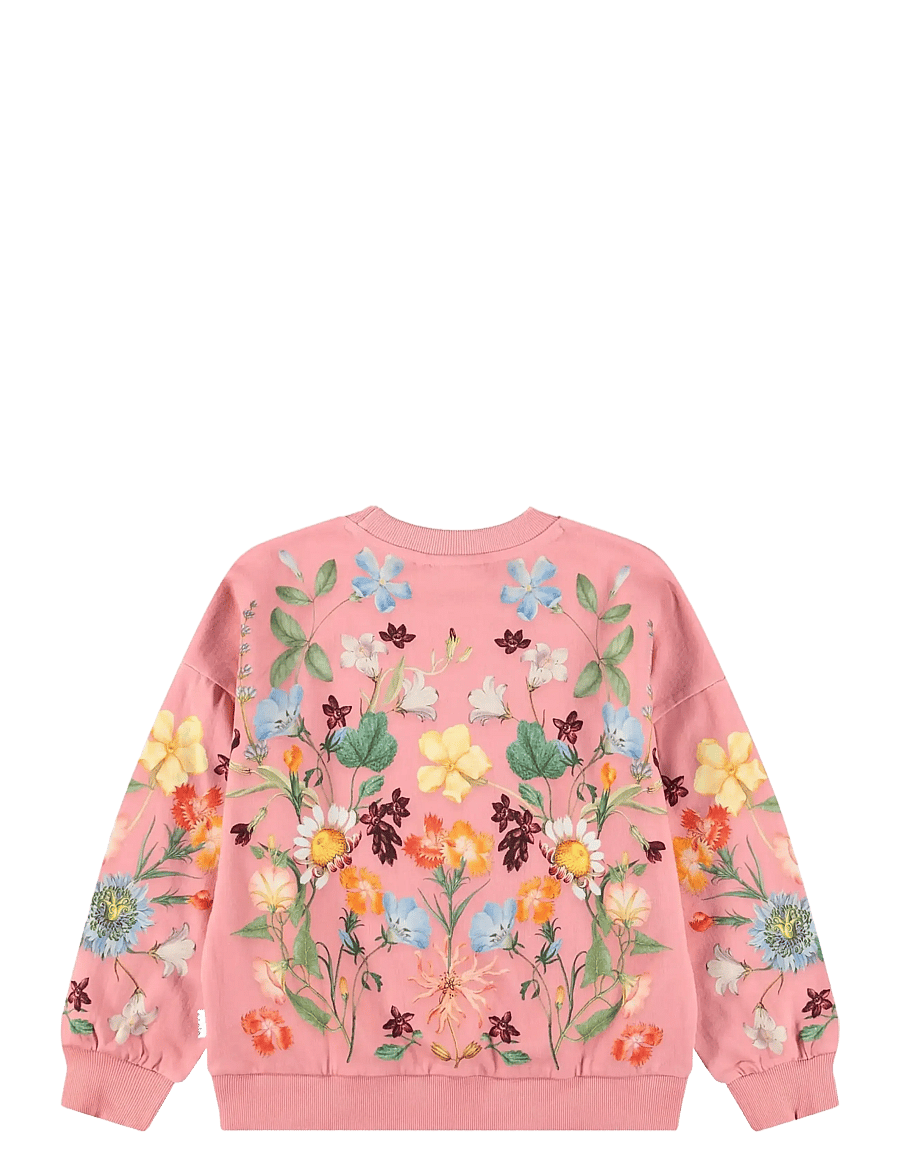 Molo - Maxi - sweatshirts - afghan hounds - 1