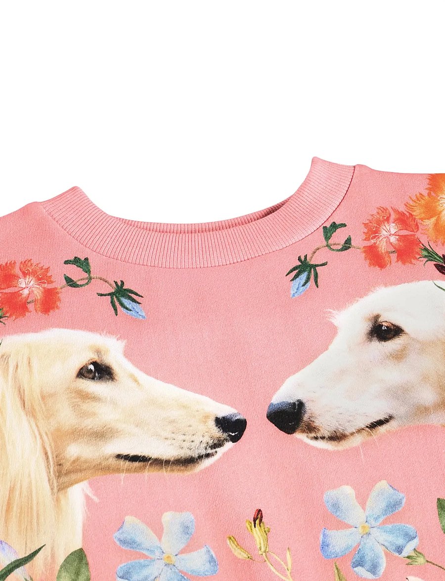 Molo - Maxi - sweatshirts - afghan hounds - 2
