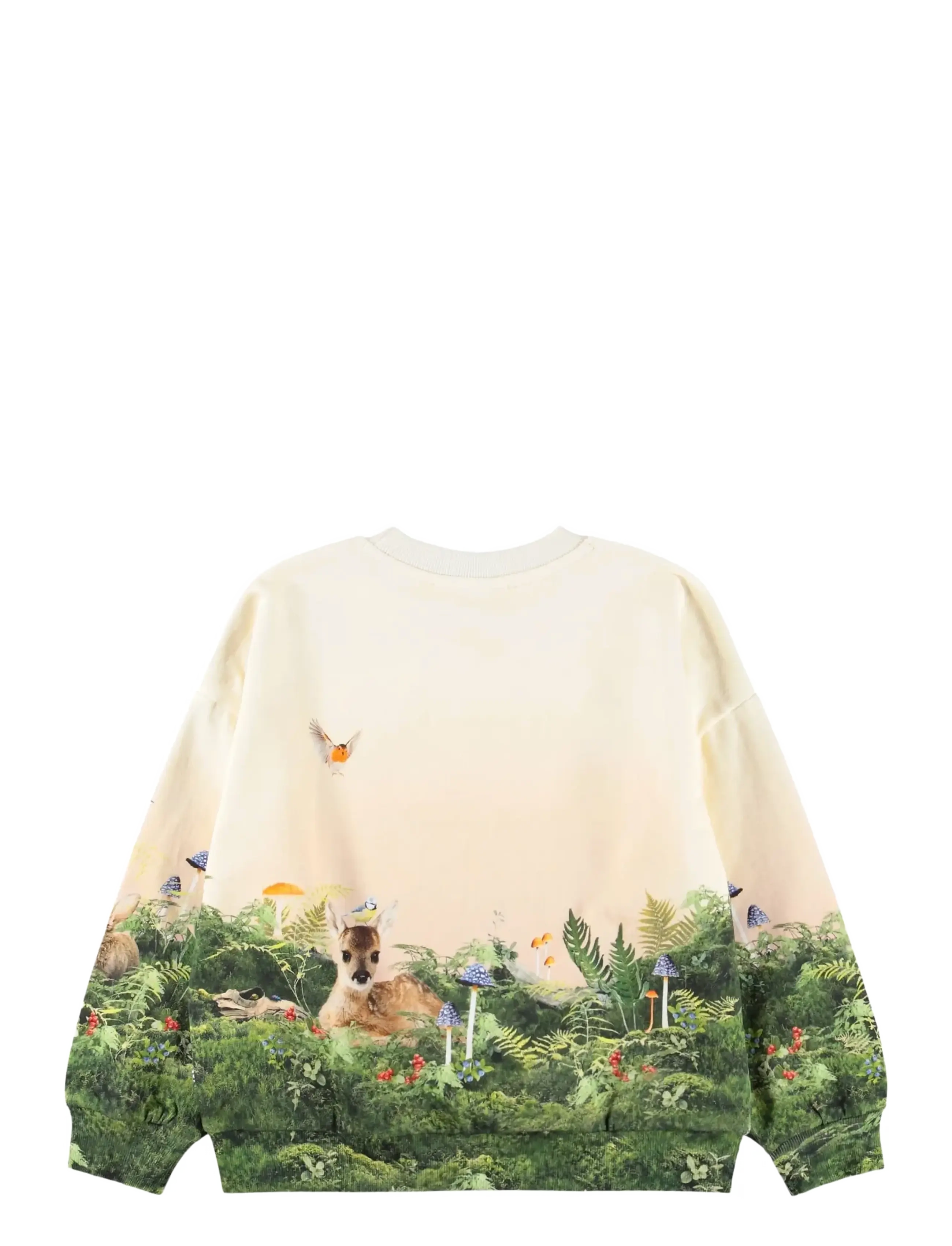 Molo - Maxi - sweatshirts - morning stroll - 1