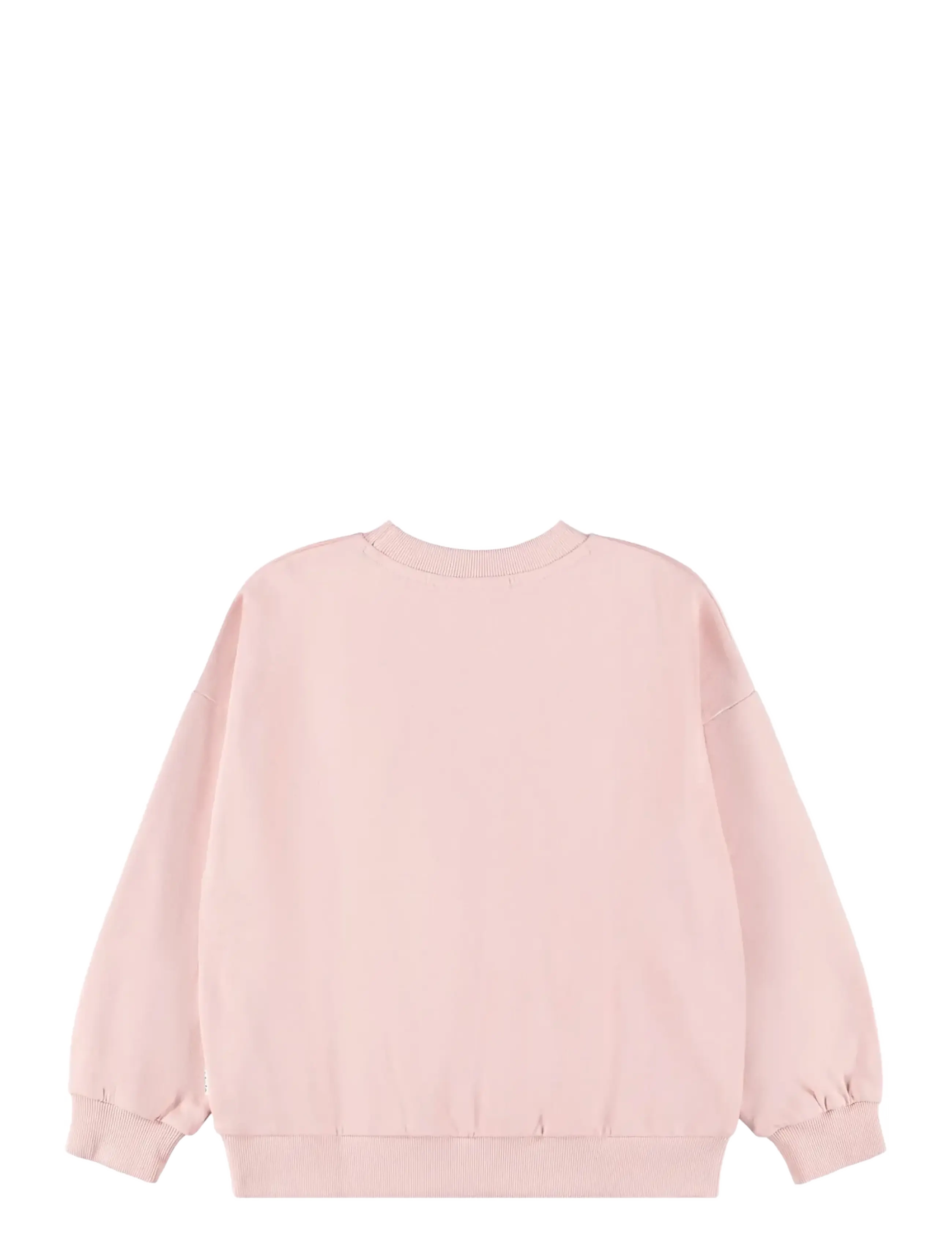 Molo - Maxi - sweatshirts - nature explorer - 1