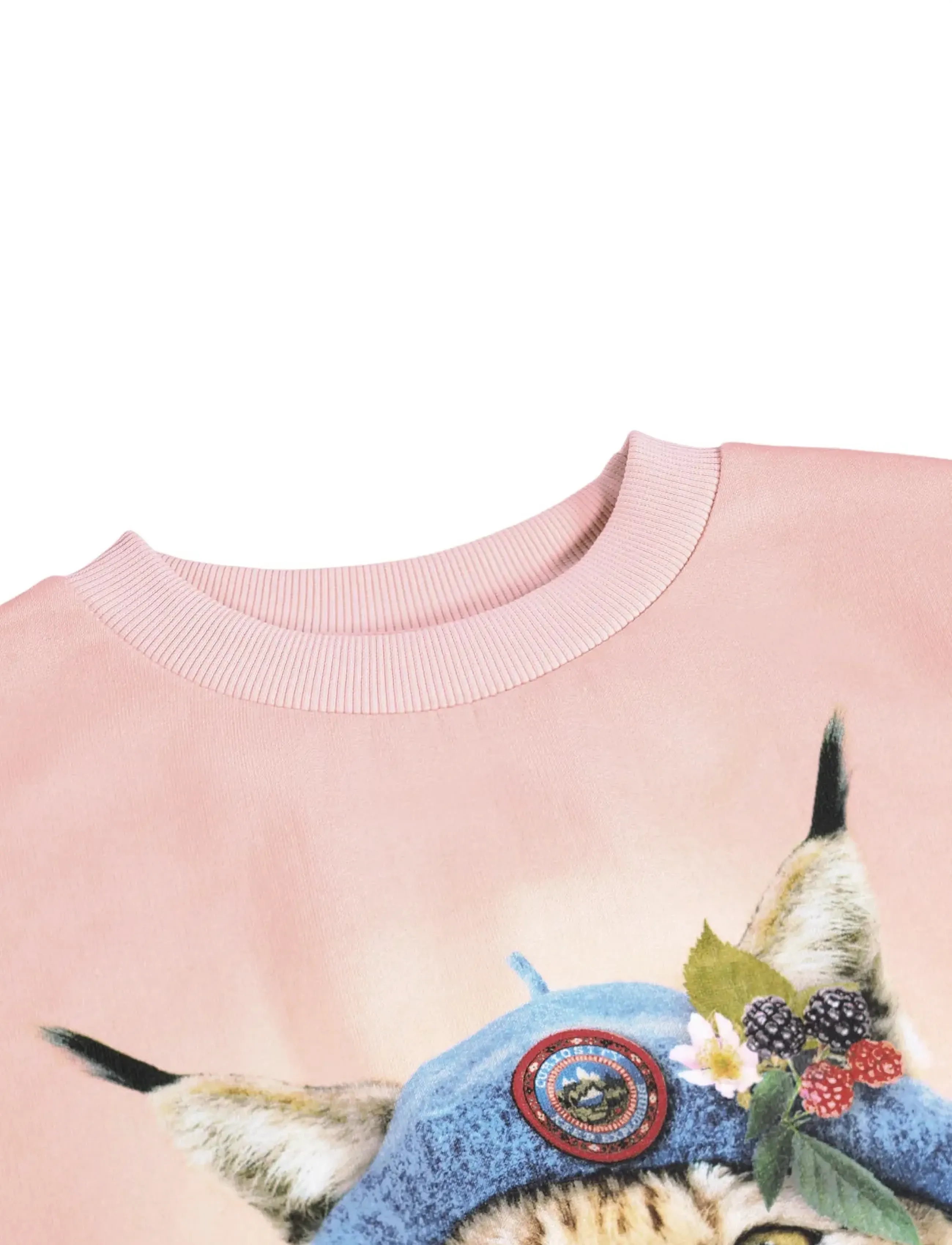 Molo - Maxi - sweatshirts - nature explorer - 3
