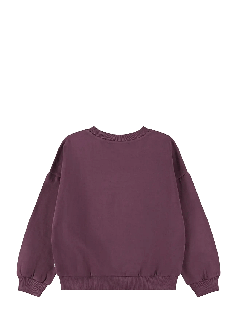 Molo - Maxi - sweatshirts - sporty tiger - 1