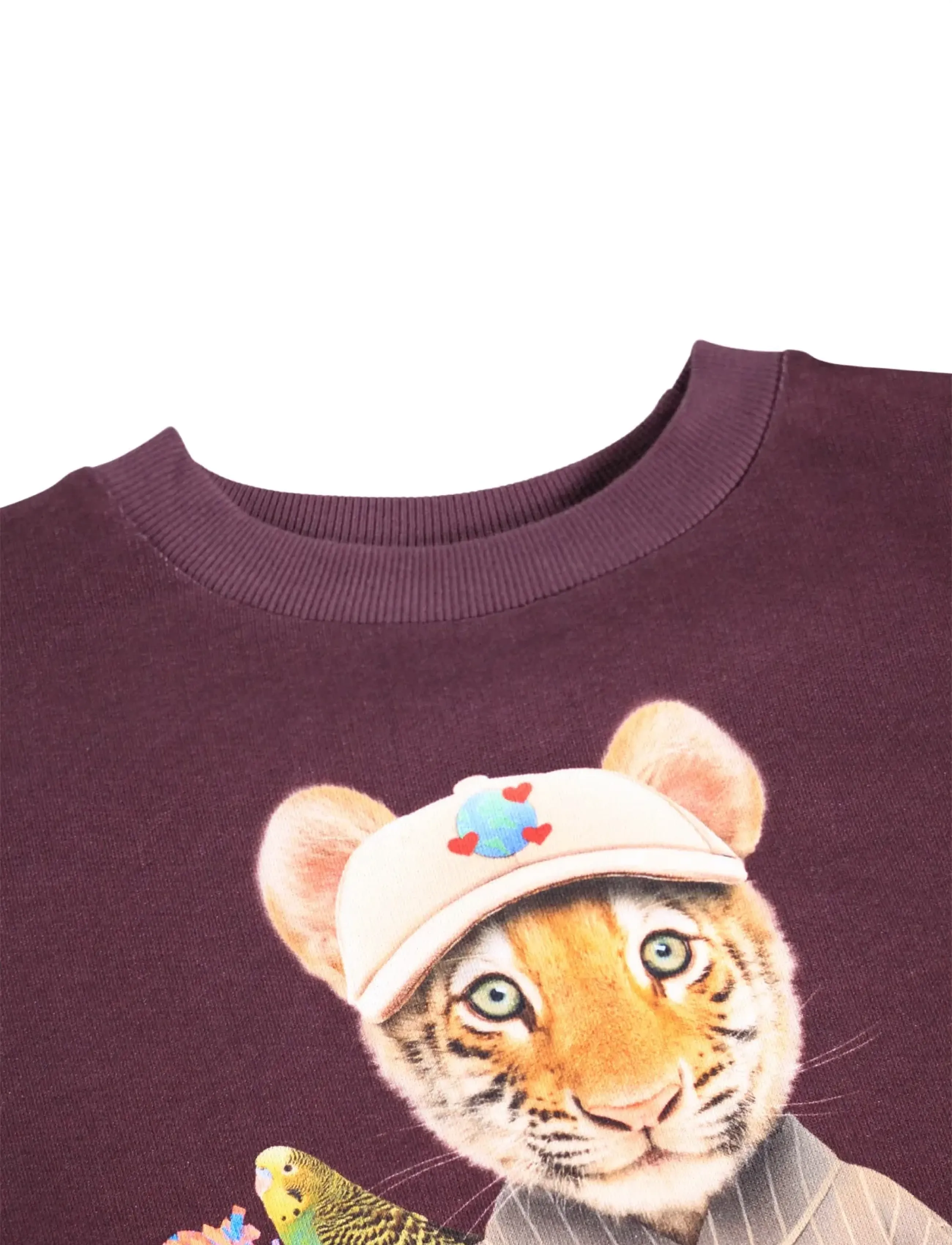 Molo - Maxi - sporty tiger - 3