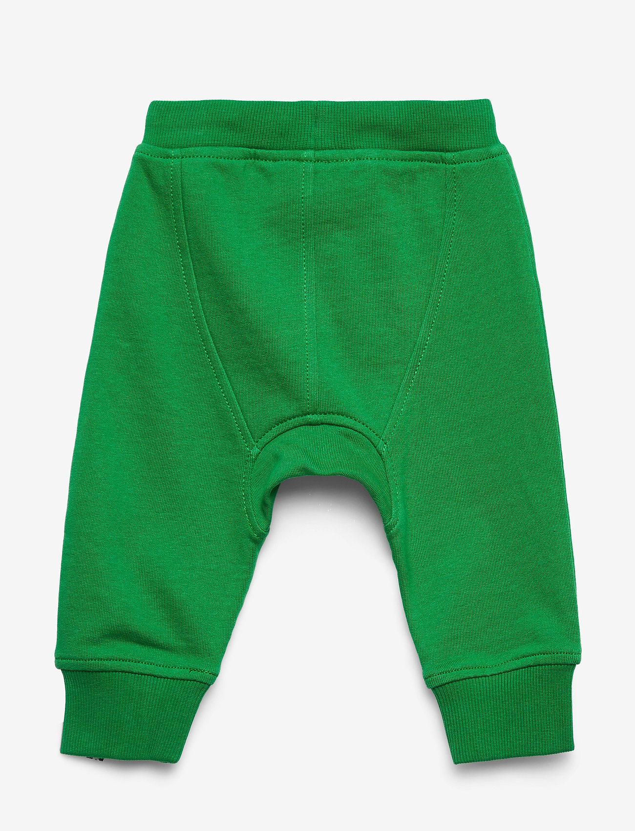 Molo - Stan - jungle - 1