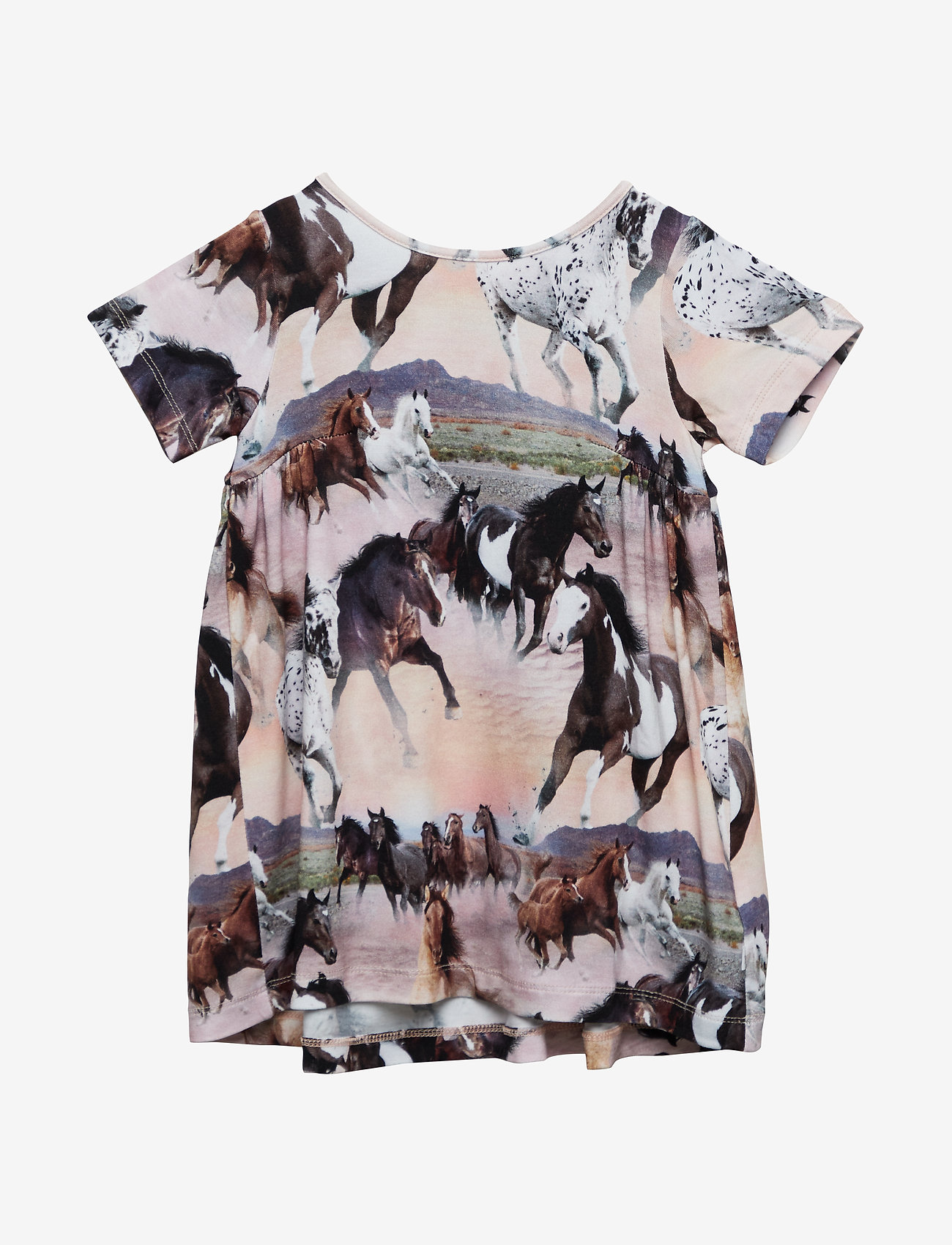 Molo - Calypso - wild horses - 0