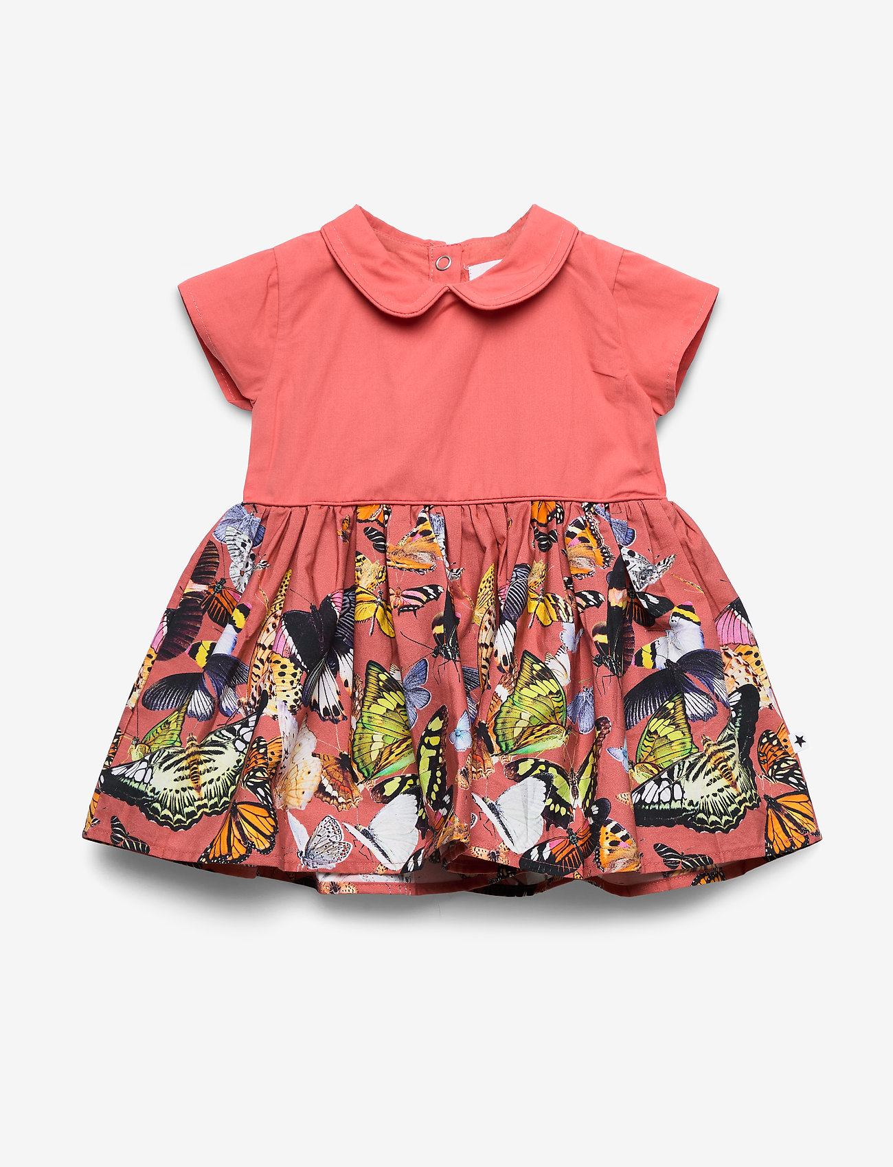 Molo - Cinna - baby papillon - 0