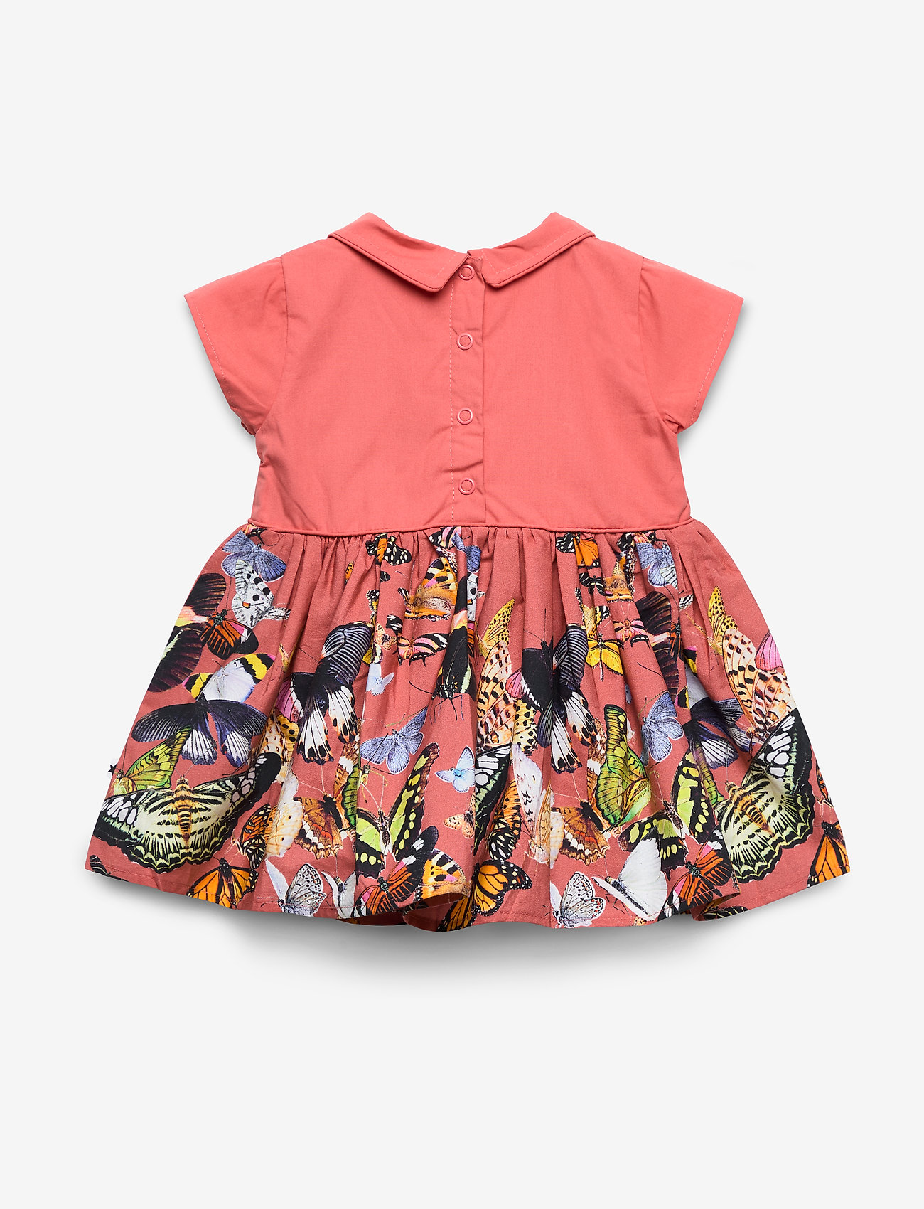 Molo - Cinna - baby papillon - 1