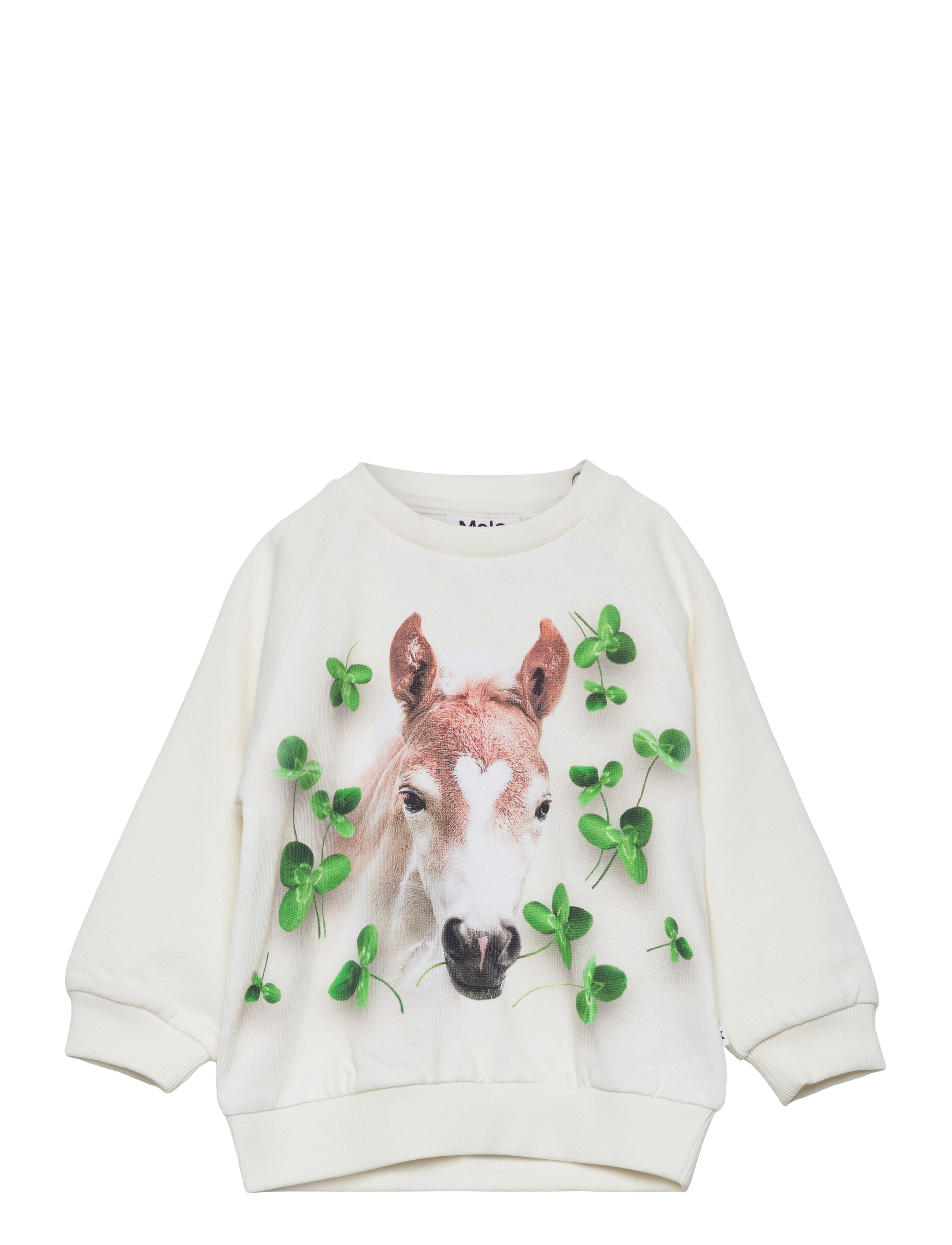 Disc - CLOVER FOAL