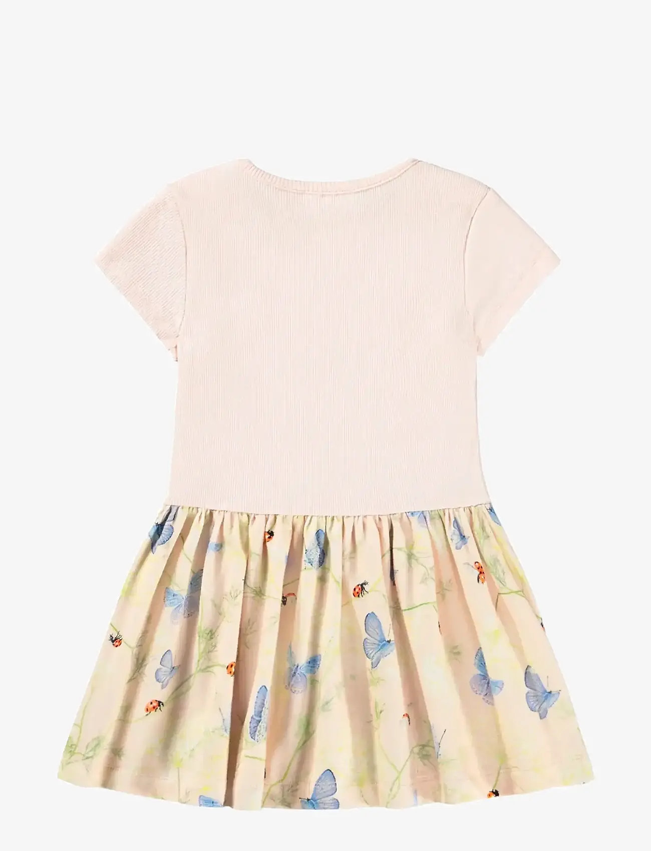 Molo - Catja - kurzärmelige babykleider - butterflys cloud - 1