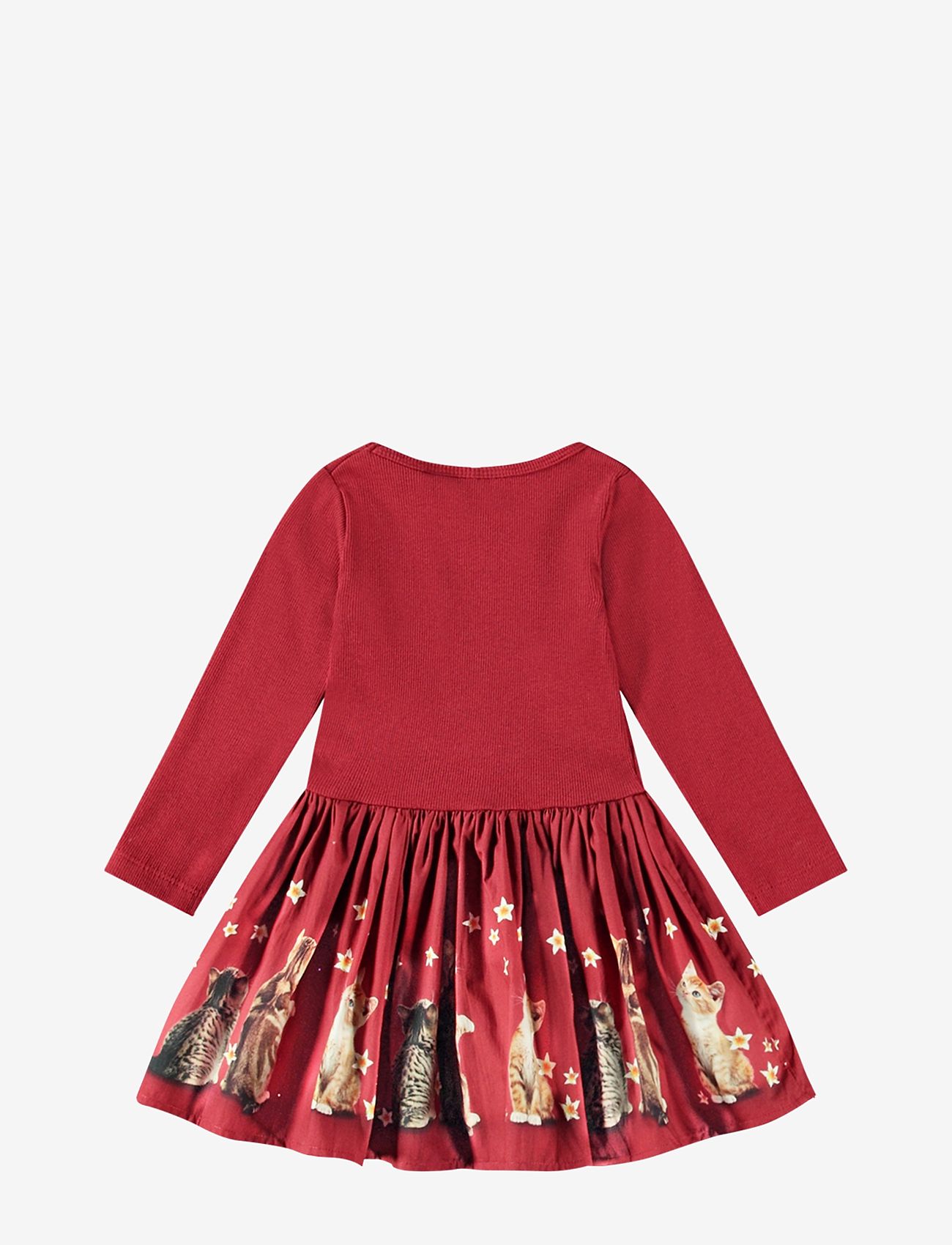 Molo - Candi - velvety kittens - 1