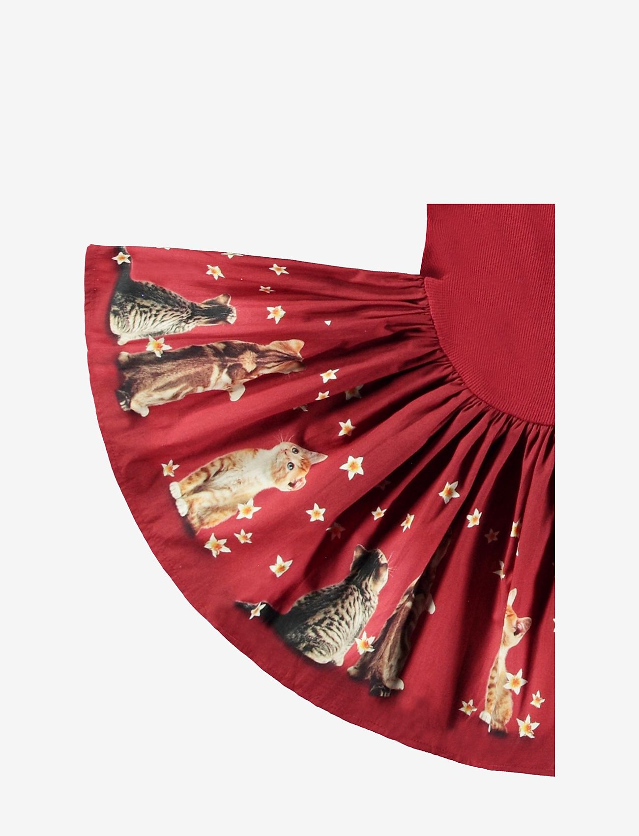 Molo - Candi - velvety kittens - 2